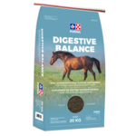 PURINA PURINA DIGESTIVE BALANCE 20 KG