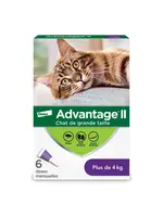ADVANTAGE 11 ADVANTAGE II CHAT 6 DOSES 4 KG ET PLUS