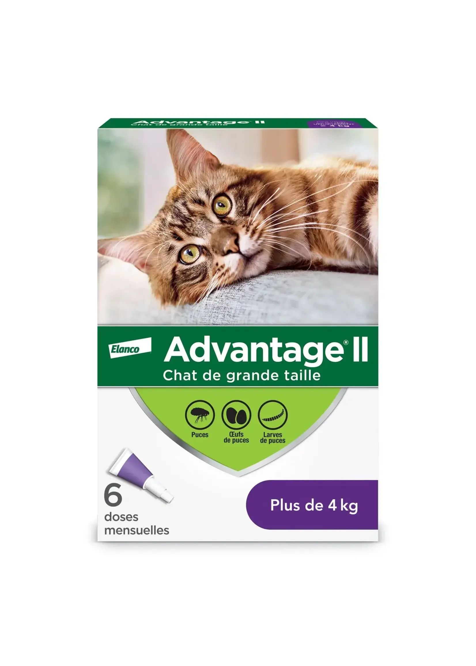ADVANTAGE 11 ADVANTAGE II CHAT 6 DOSES 4 KG ET PLUS