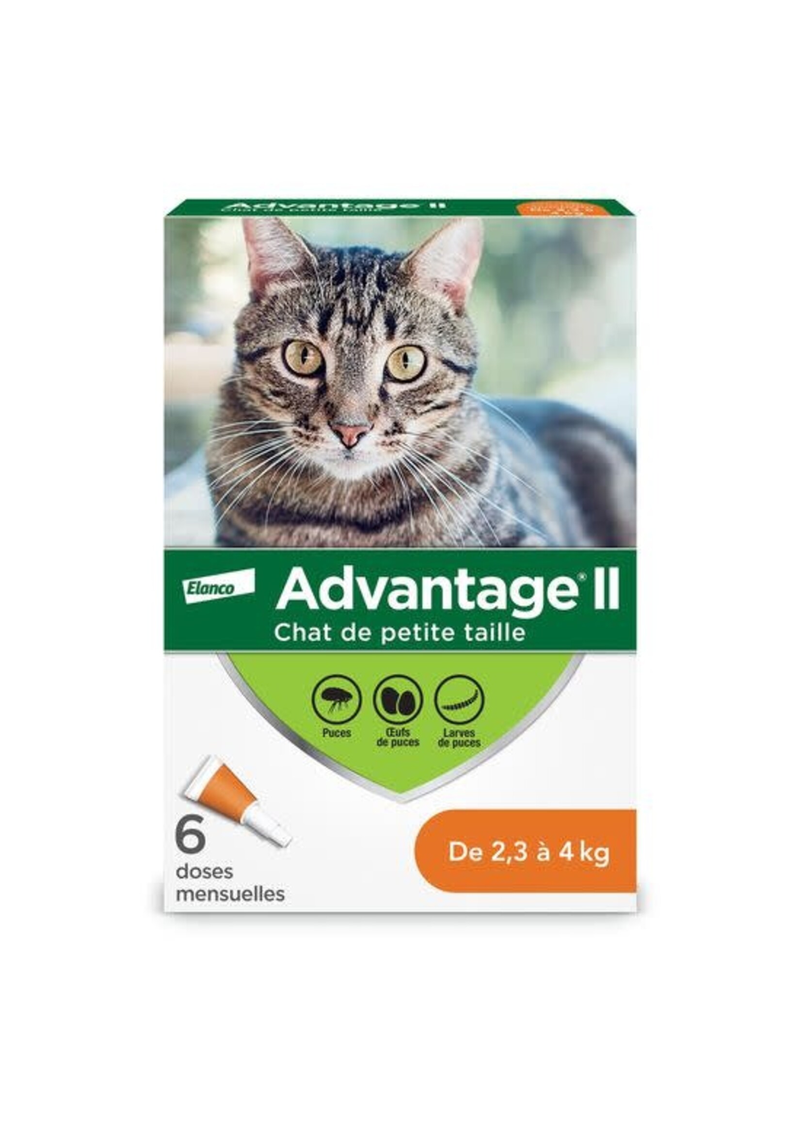 ADVANTAGE 11 ADVANTAGE II CHAT 6 DOSES 2.3-4 KG
