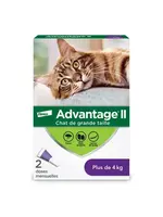 ADVANTAGE 11 ADVANTAGE II CHAT 2 DOSES 4 KG ET PLUS