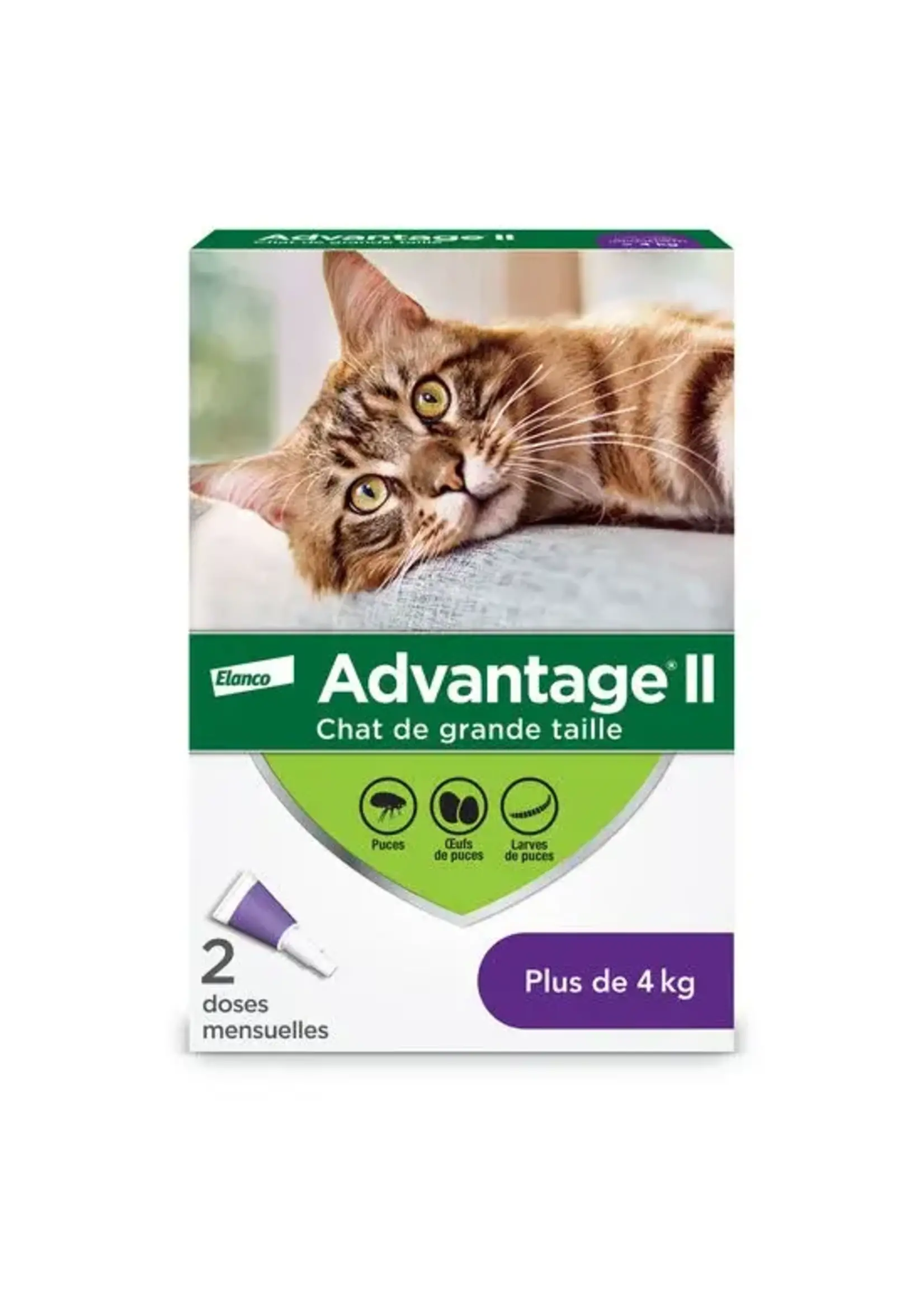 ADVANTAGE 11 ADVANTAGE II CHAT 2 DOSES 4 KG ET PLUS