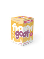 BIG COUNTRY RAW BCR YOGOURT GLACE BANANE ET NOIX DE COCO 300 ML