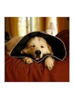 COMFY CONE NOIR