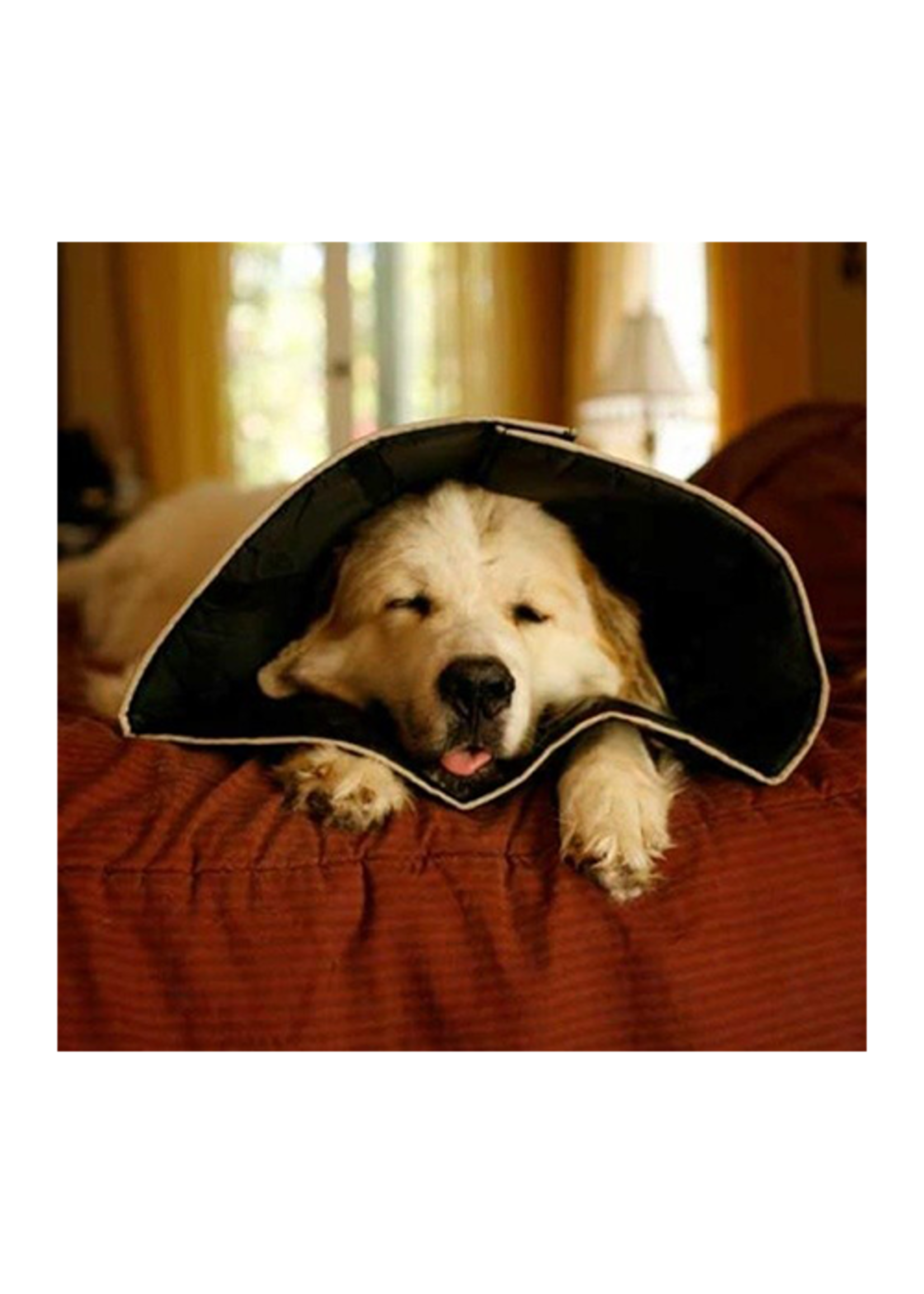 COMFY CONE NOIR