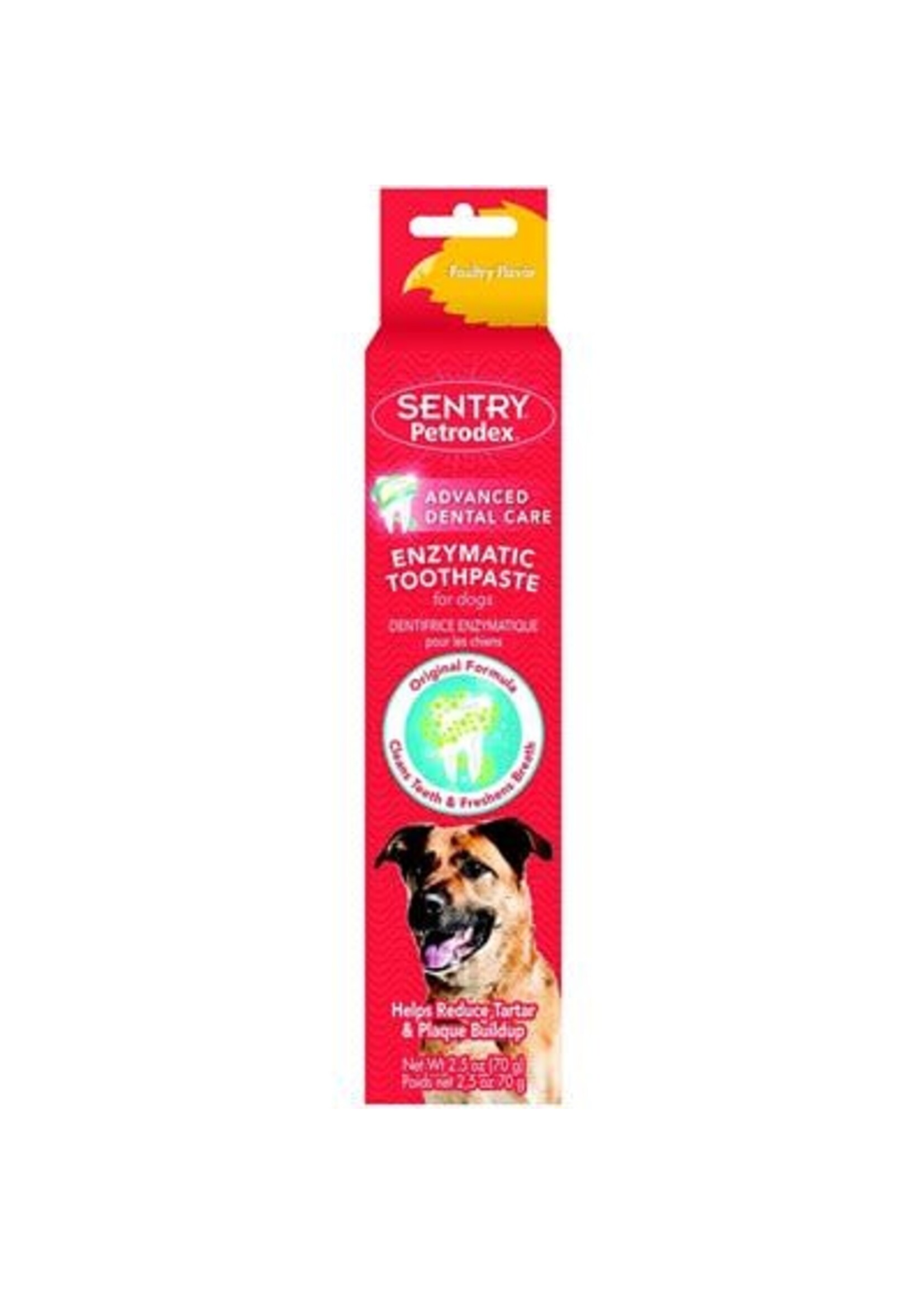 PATE A DENT POUR CHIEN ENZYMATIC NATUREL 70G