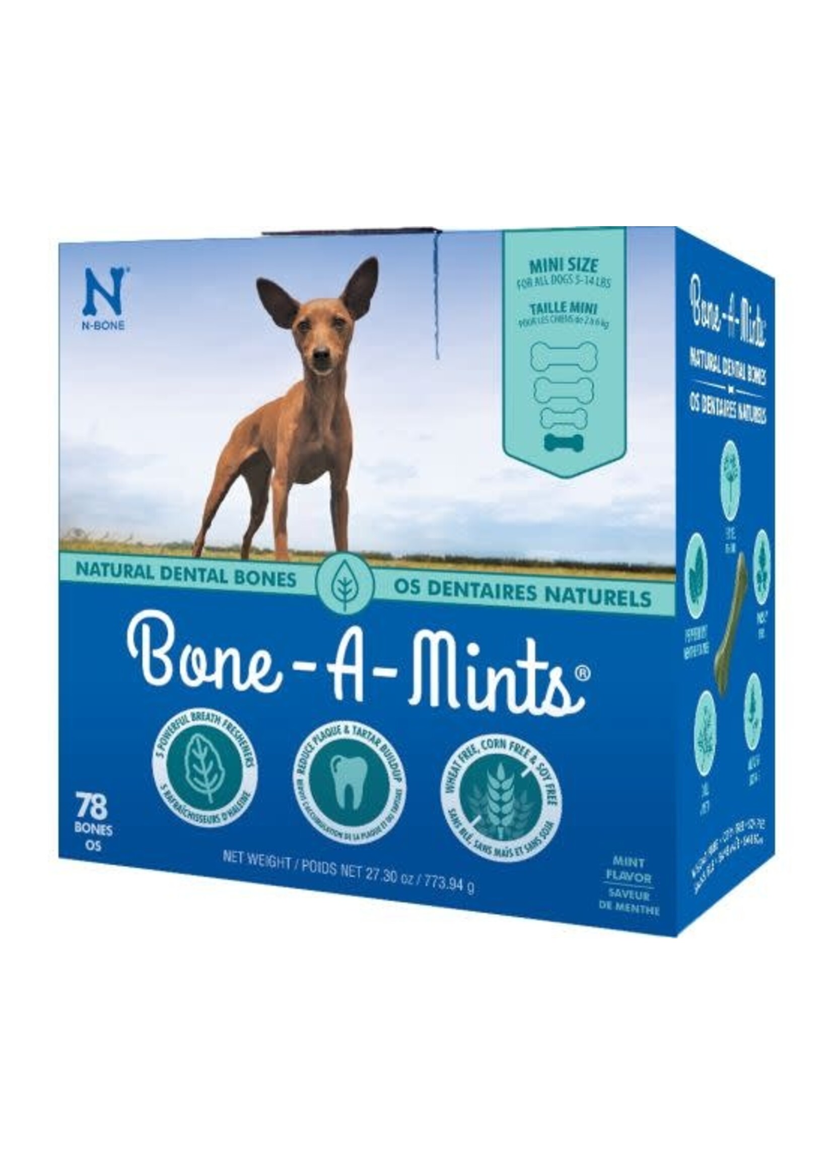 BONE A MINTS BOITE MINI
