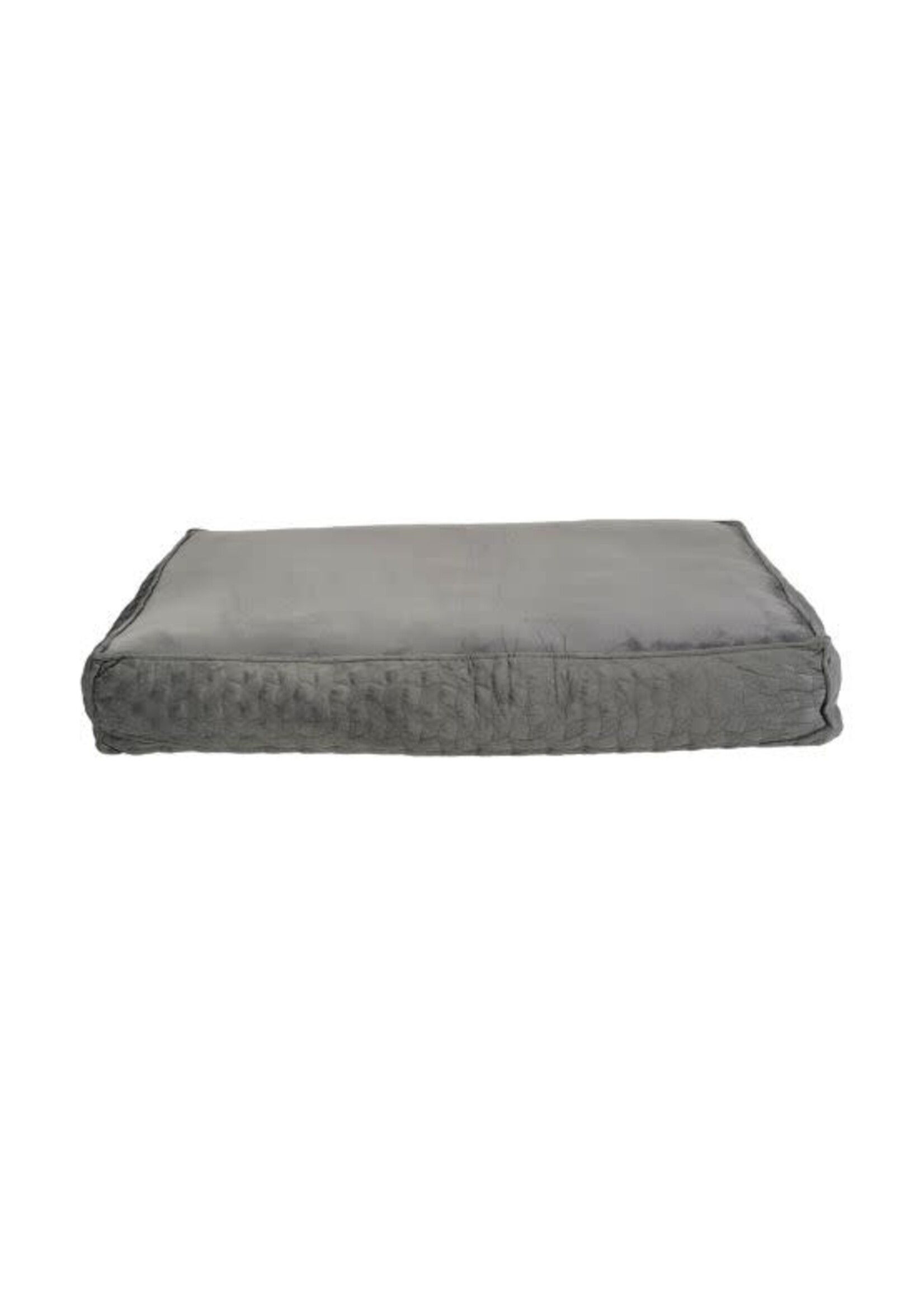 BUD'Z BUD'Z LIT PLAT STYLE COUSSIN COSMOS GRIS 39.3X27.5X6.2''