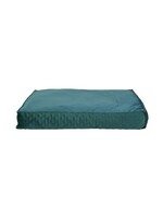 BUD'Z BUD'Z LIT PLAT STYLE COUSSIN COSMOS VERT 39.3X27.5X6.2''