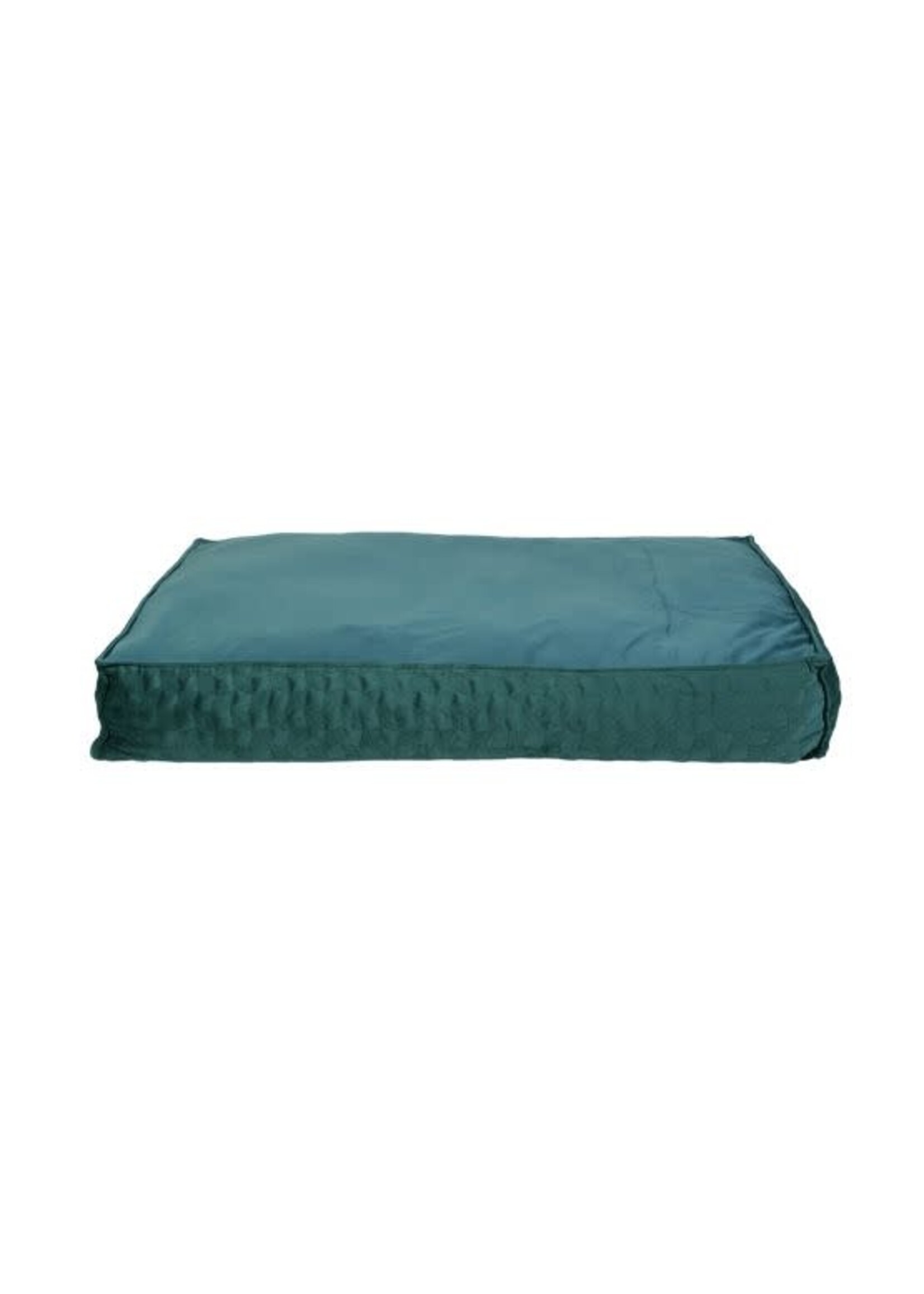 BUD'Z BUD'Z LIT PLAT STYLE COUSSIN COSMOS VERT 39.3X27.5X6.2''