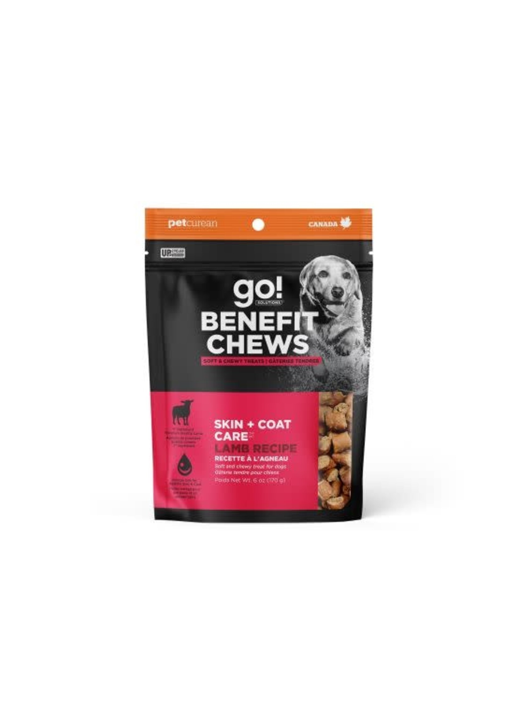 GO! SOLUTIONS GO GATERIE CHIEN AGNEAU PEAU ET PELAGE 170 G