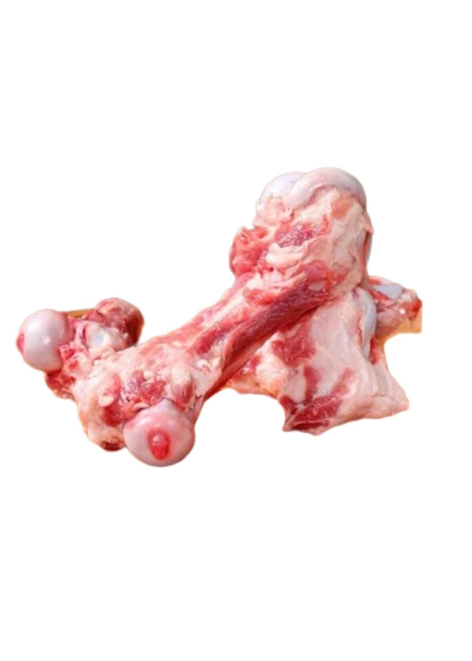 LUCKY BONES LUCKY BONES JARRET DE PORC