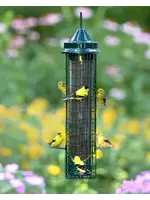 SQUIRREL BUSTER SQUIRREL BUSTER CHARDON