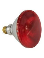 RANCH CUNICOLE LUMIERE INFRA-ROUGE 175 WATTS