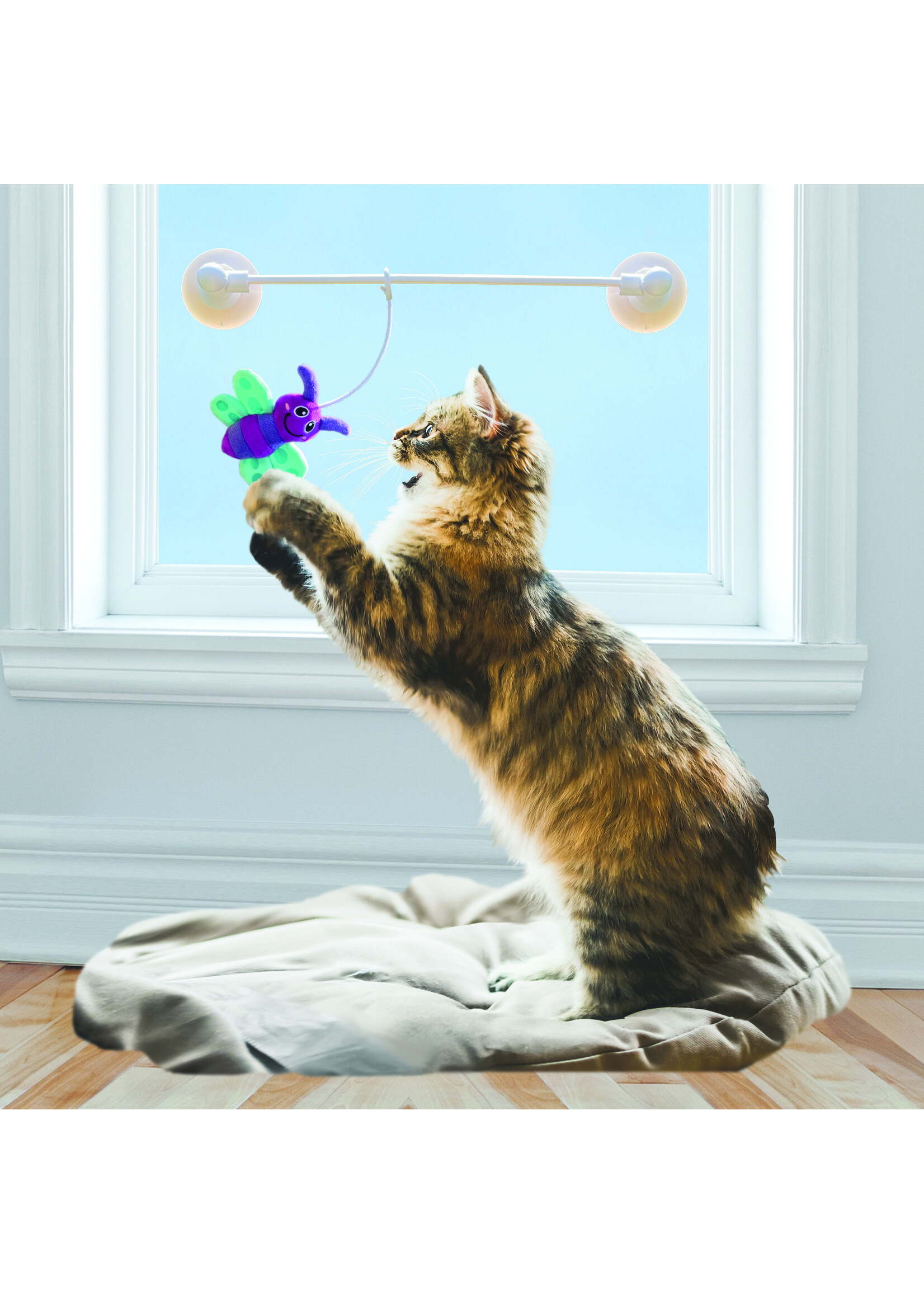 KONG KONG  POUR CHAT JOUET CONNECTS LUCIOLE