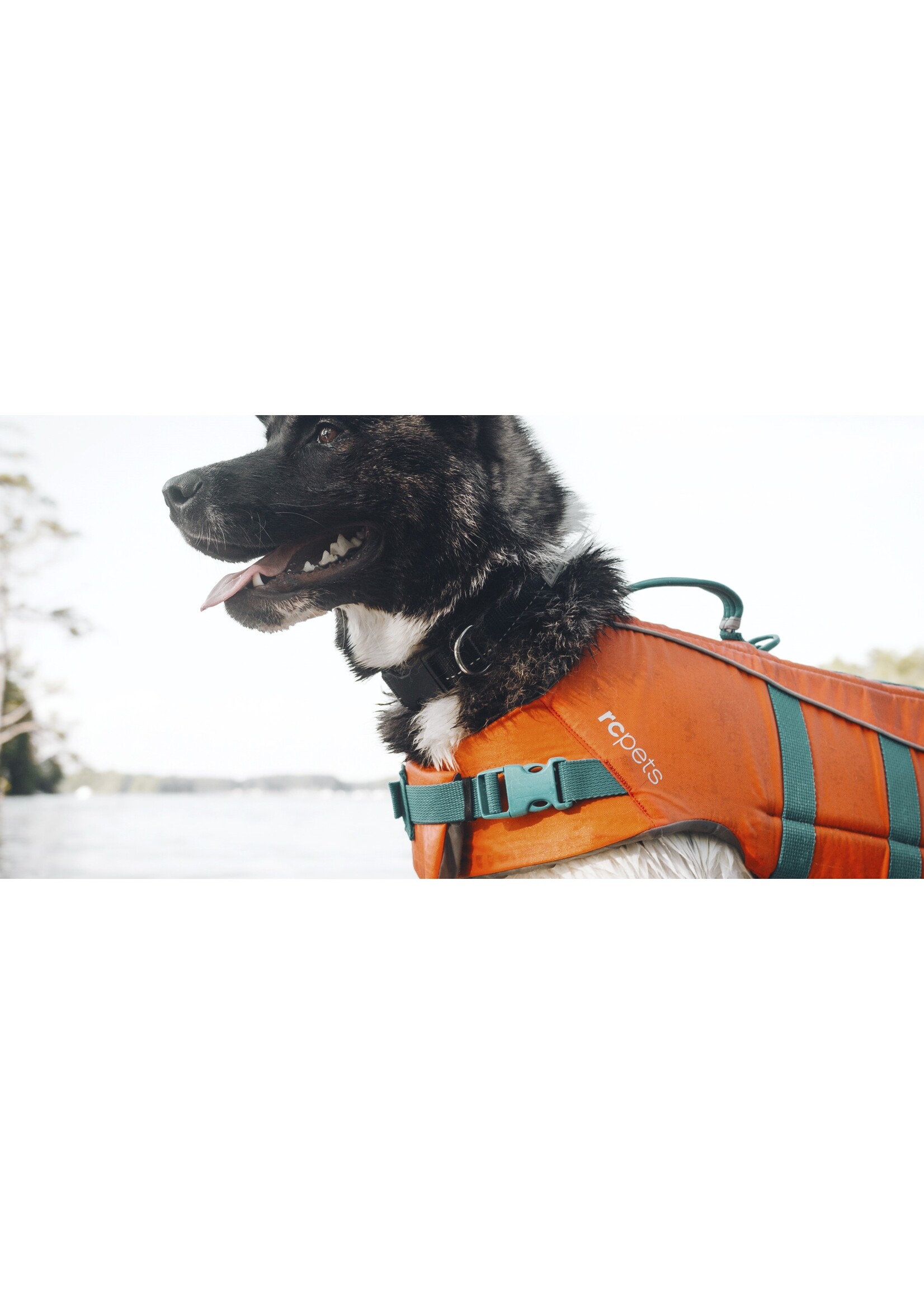 RC PETS RC PETS VESTE DE FLOTTAISON XLARGE