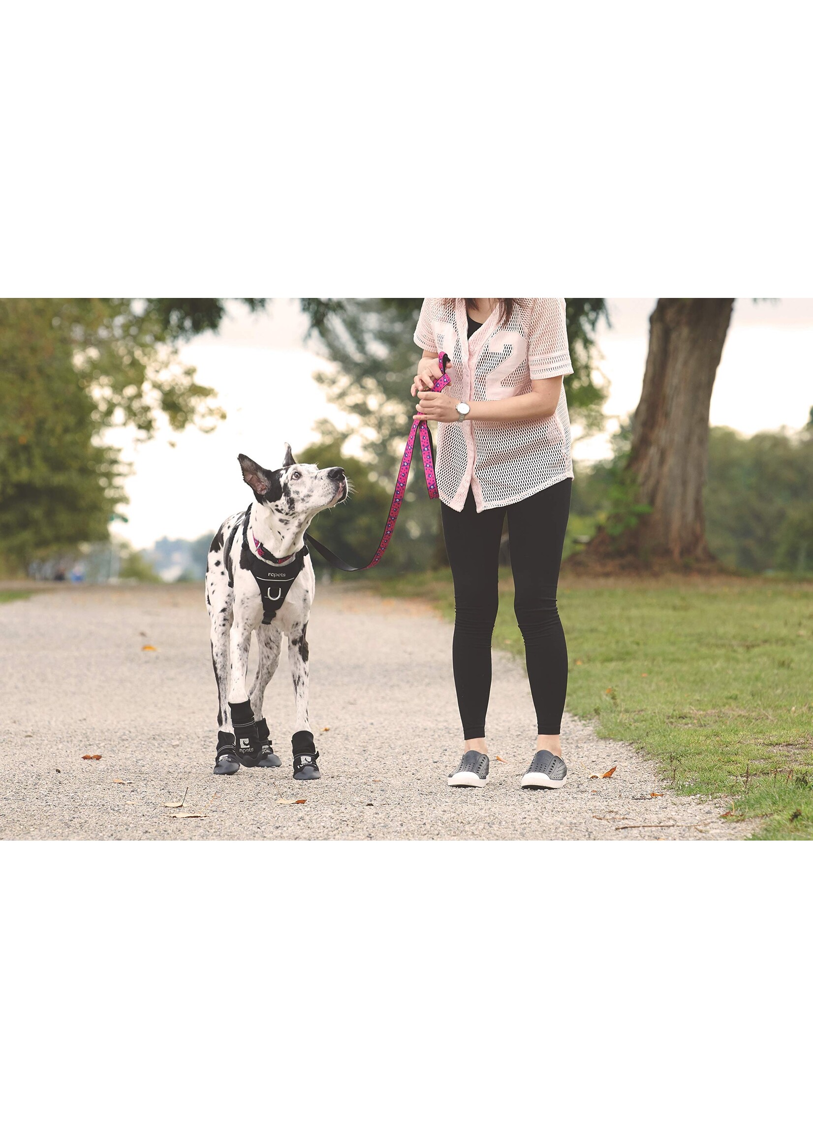 RC PETS RC PETS BOTTE NOIR XGRANDE PQT 2