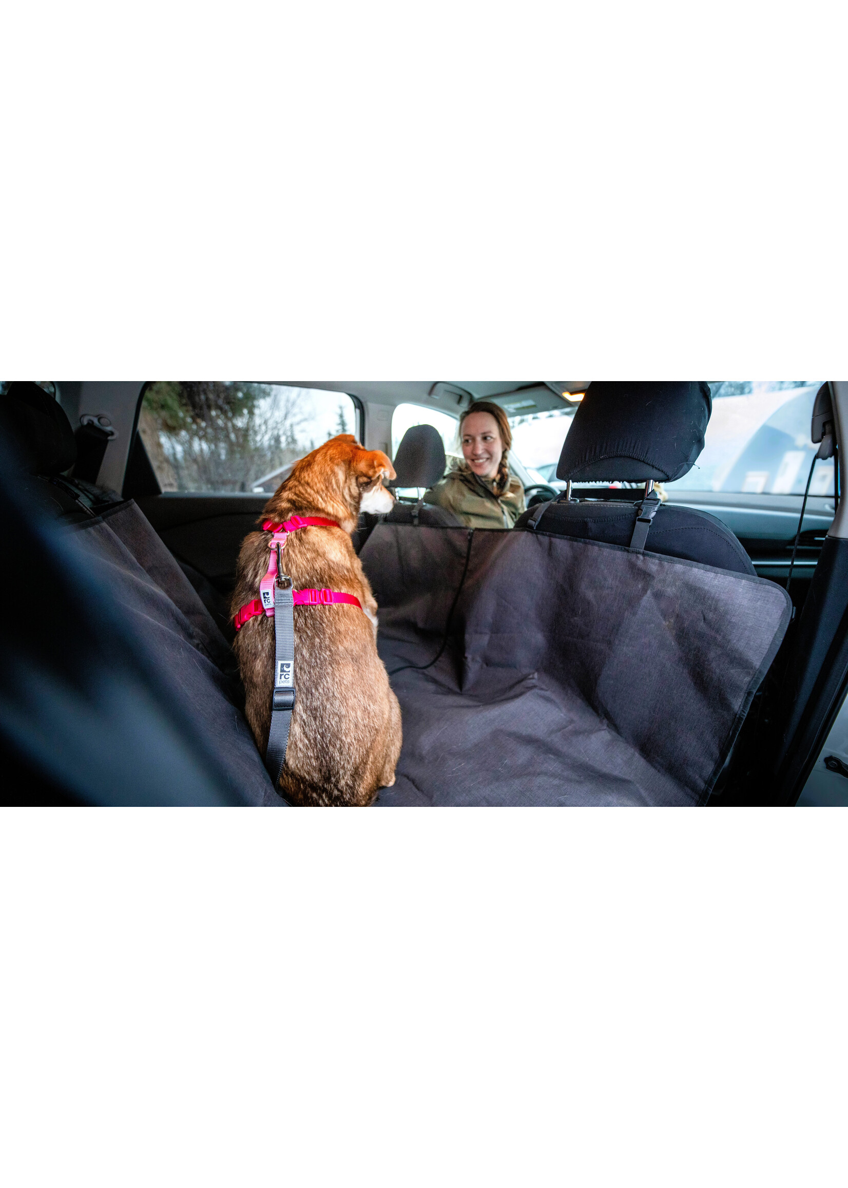 RC PETS RC PET ATTACHE D AUTO