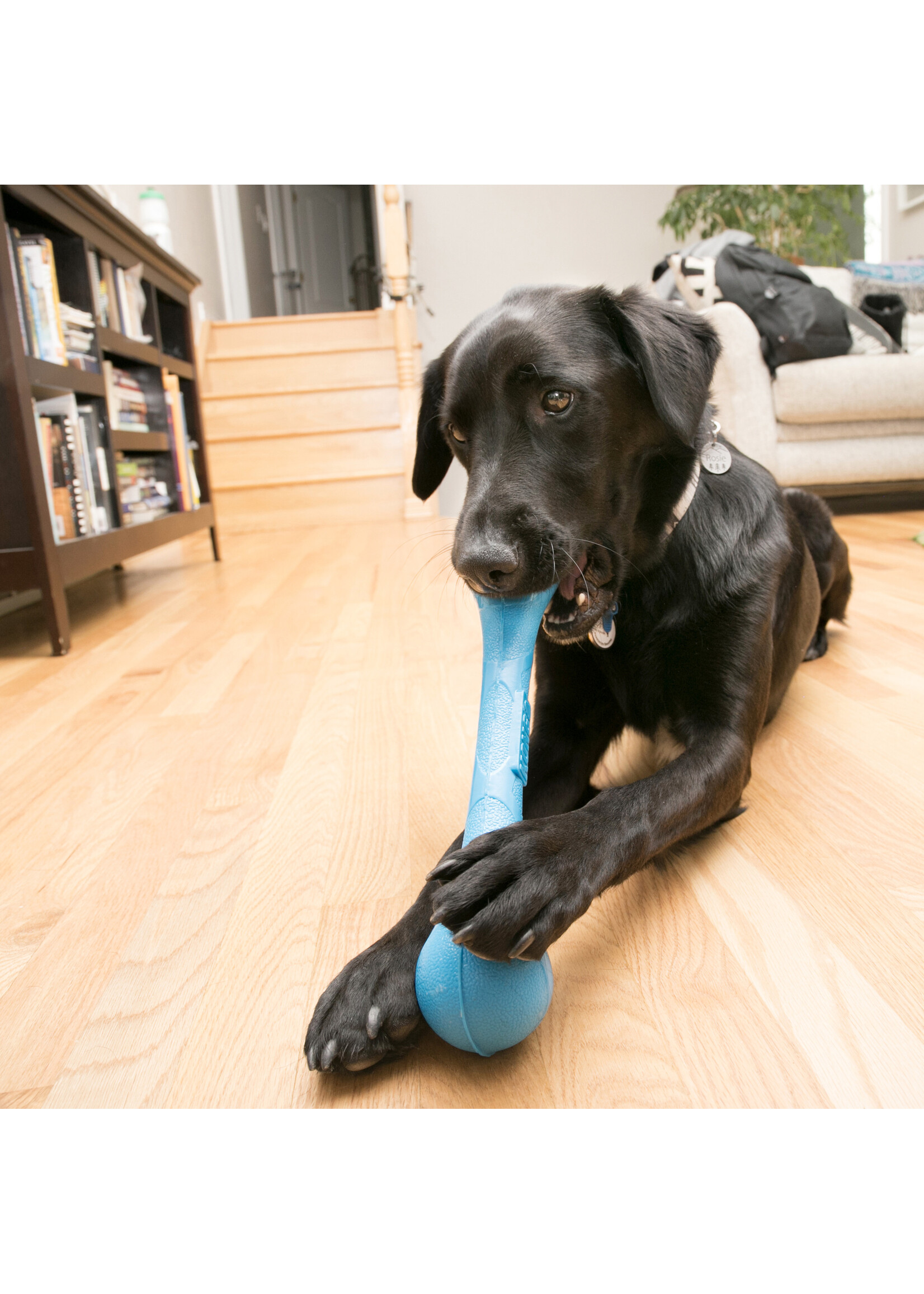KONG KONG BATON SQUEAKSTIX