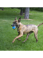 KONG KONG BALLE ULTRA SQUEAKAIR PAQUET 2