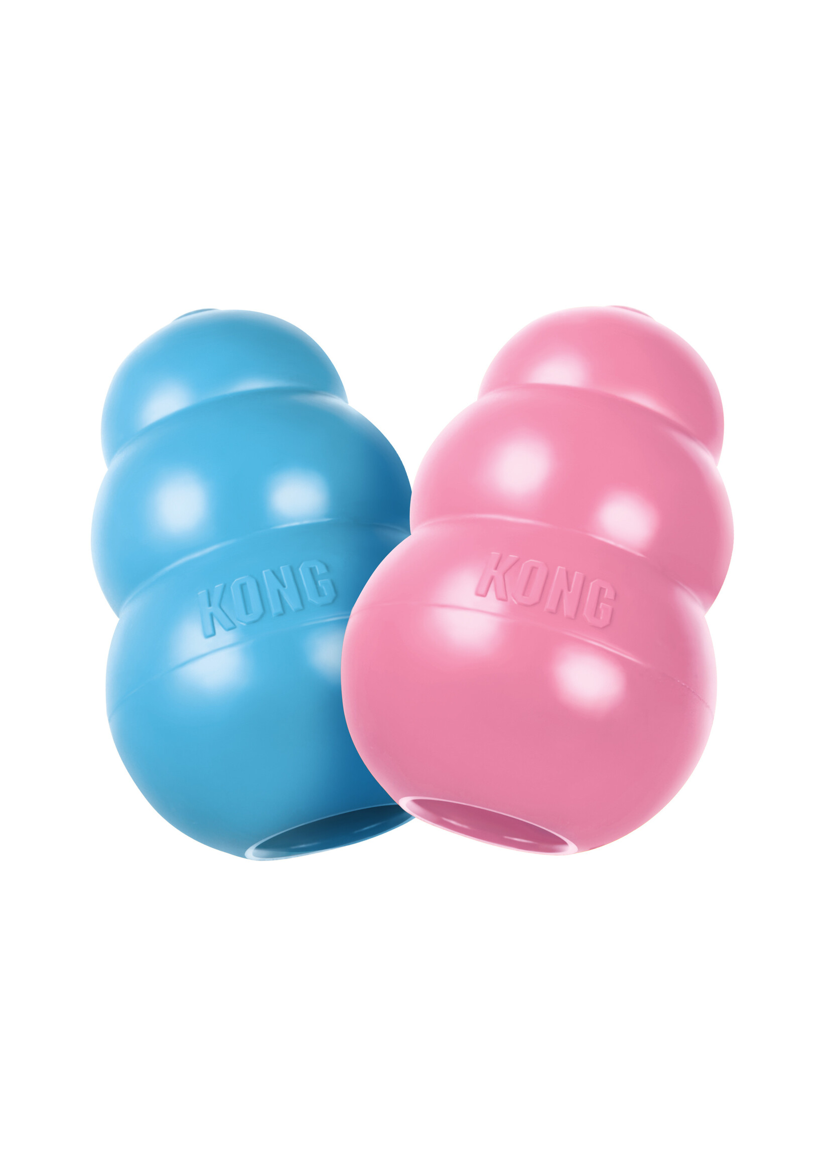 KONG KONG CHIOT MEDIUM