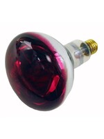 RANCH CUNICOLE LUMIERE INFRA-ROUGE 250 WATTS
