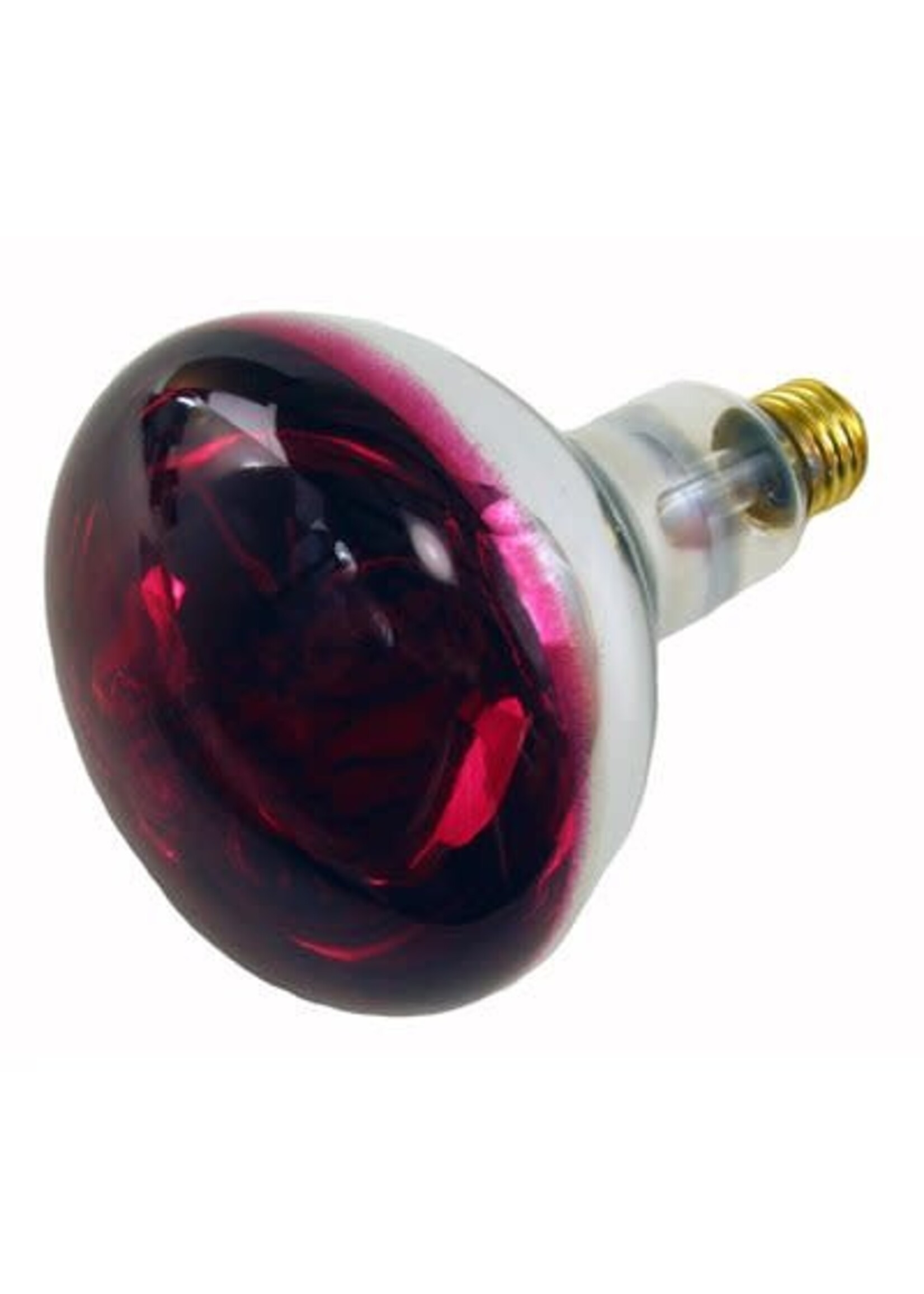 RANCH CUNICOLE LUMIERE INFRA-ROUGE 250 WATTS