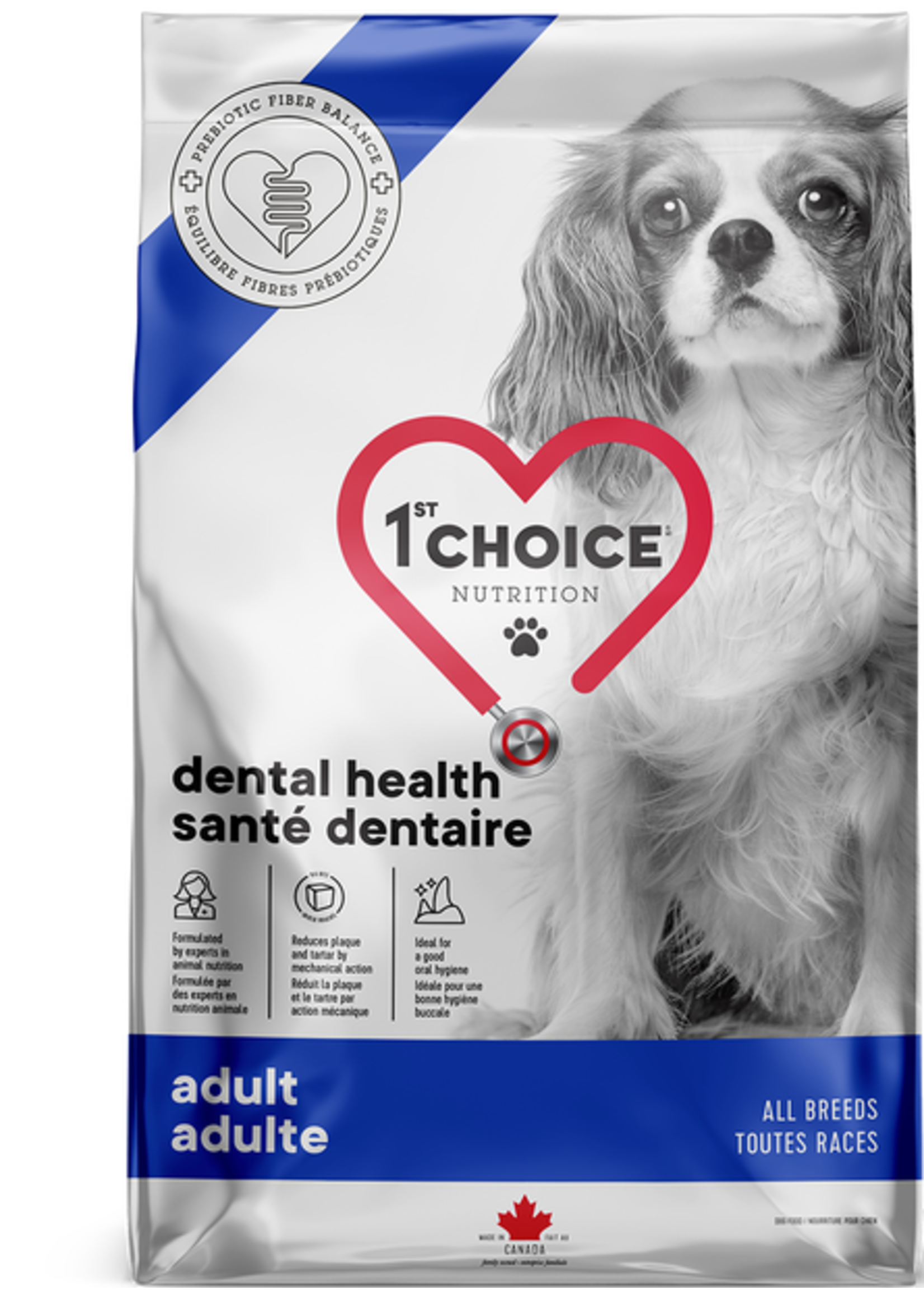 1ST CHOICE 1ST CHOICE CHIEN SANTÉ DENTAIRE