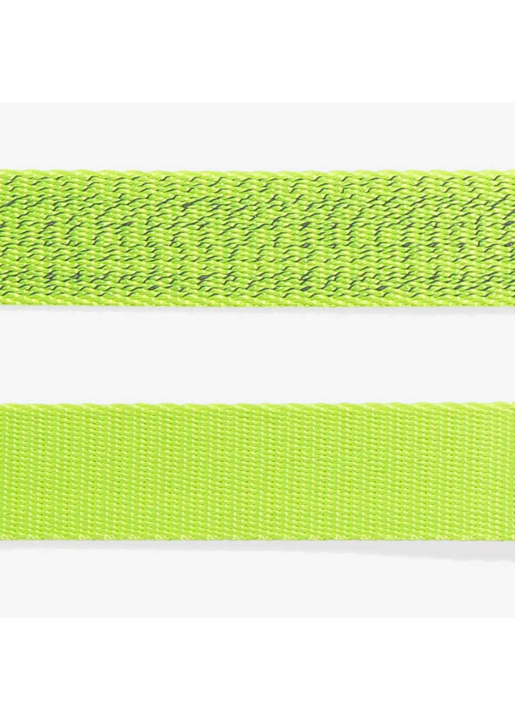 ZEE CAT  HARNAIS & LAISSE NOX LUMEN