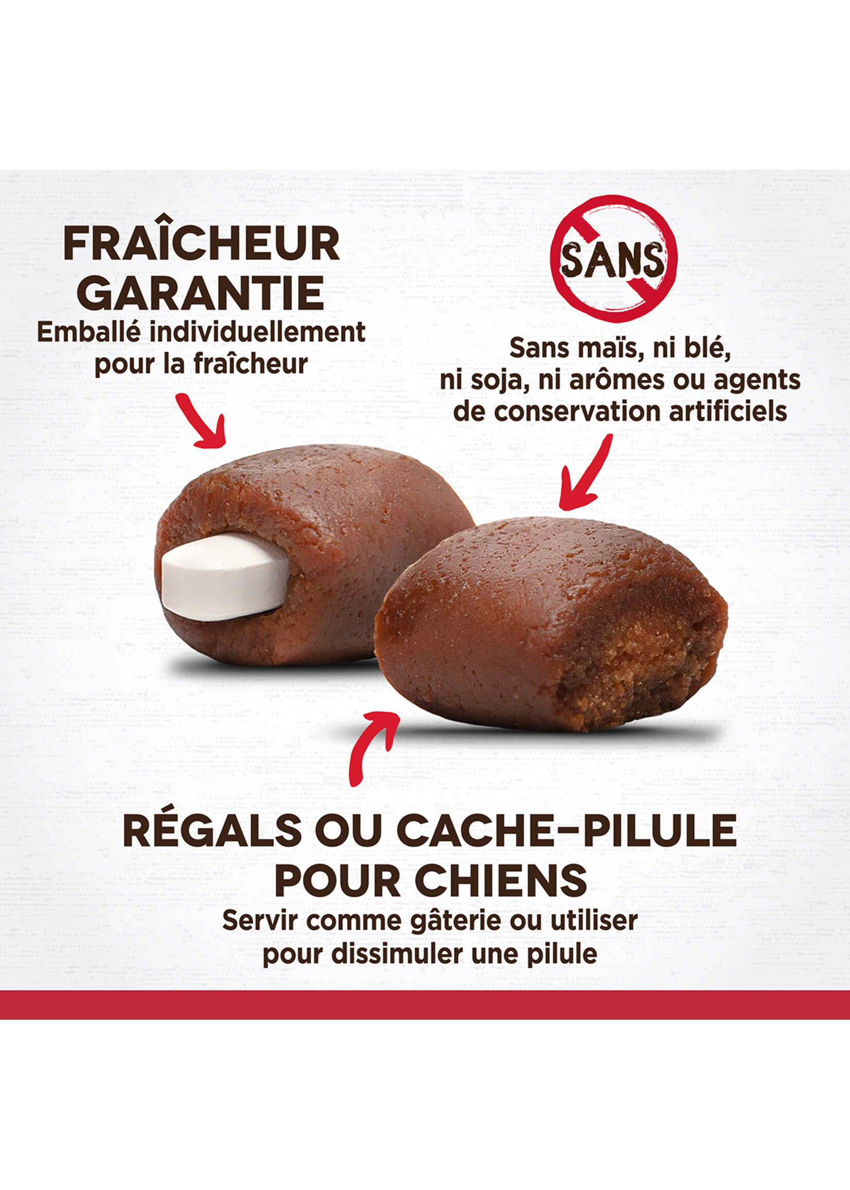 ZOE PILL POPS BOEUF/GINGEMBRE 100G