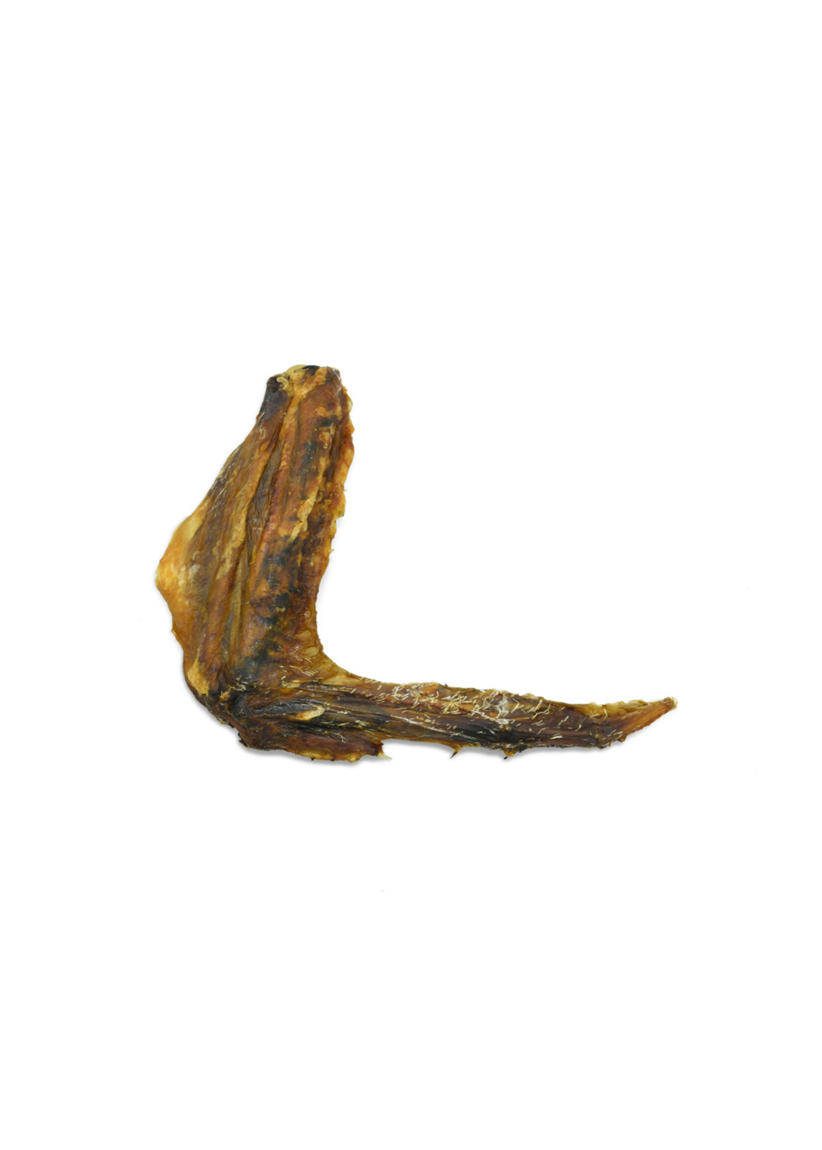 BELLERIVE WAWWAW AILE DE CANARD