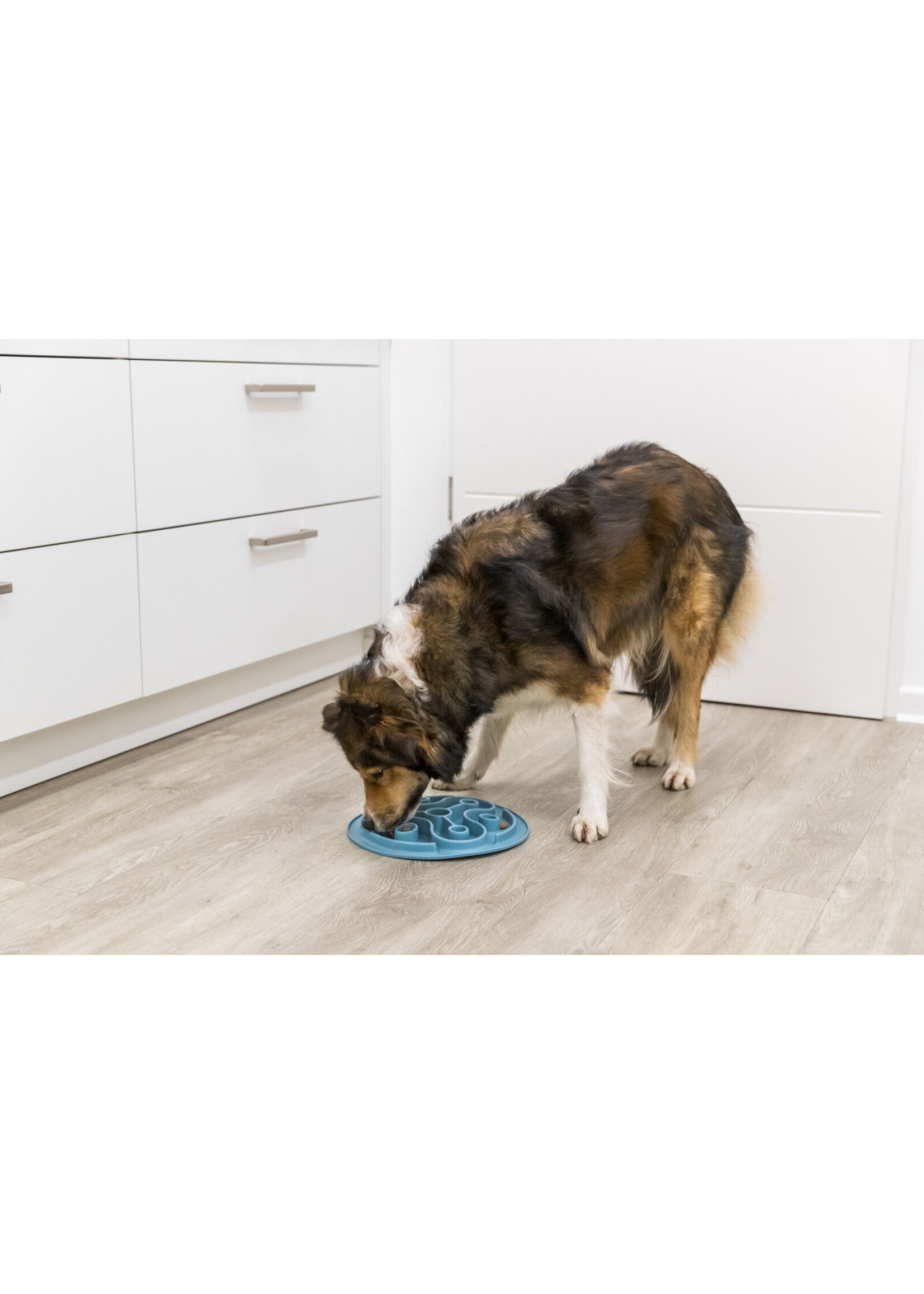 TRIXIE TRIXIE BOL RALENTISSEUR EN ELATOMERE THERMOPLASTIQUE