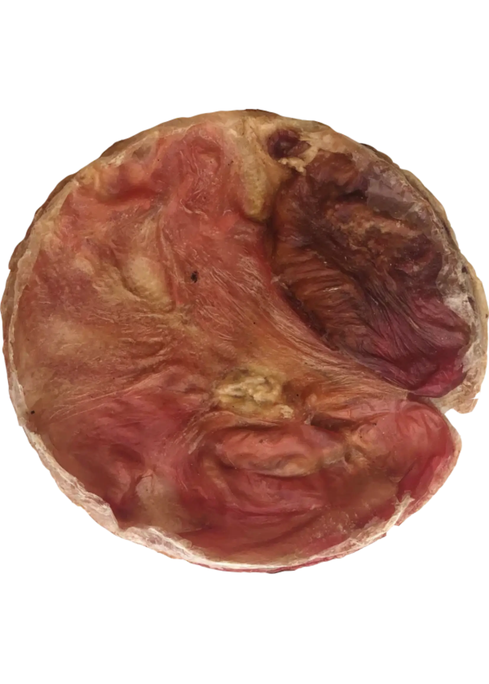 OPEN RANGE FURS-BEE 7 ''