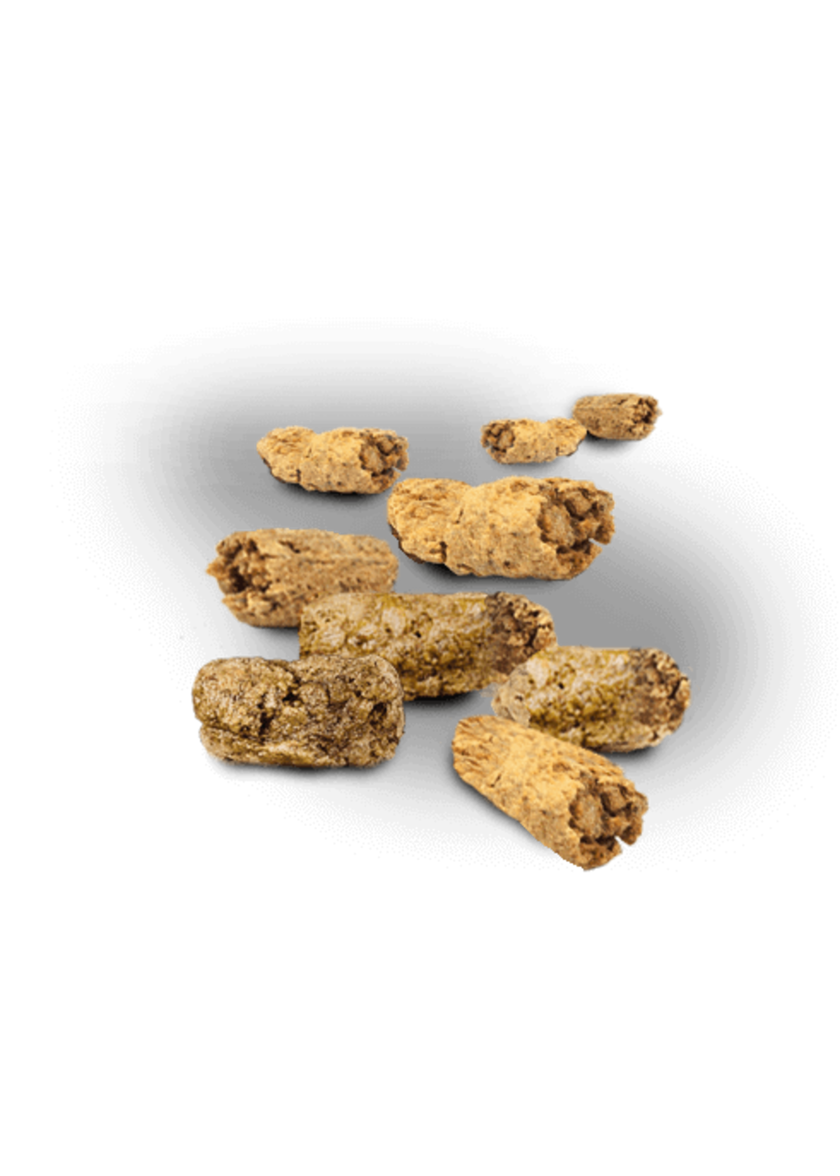 CANISOURCE CANISOURCE CHIEN PORC & AGNEAU SG 5 KG