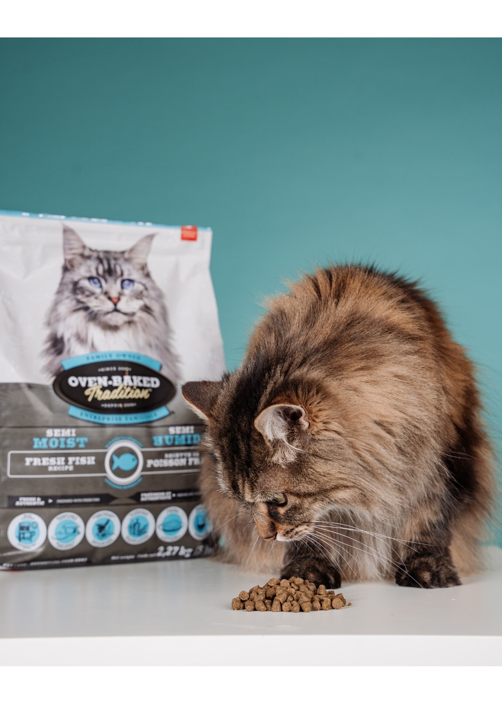 OVEN-BAKED OVEN BAKED CHAT ADULTE SEMI-HUMIDE AU POISSON