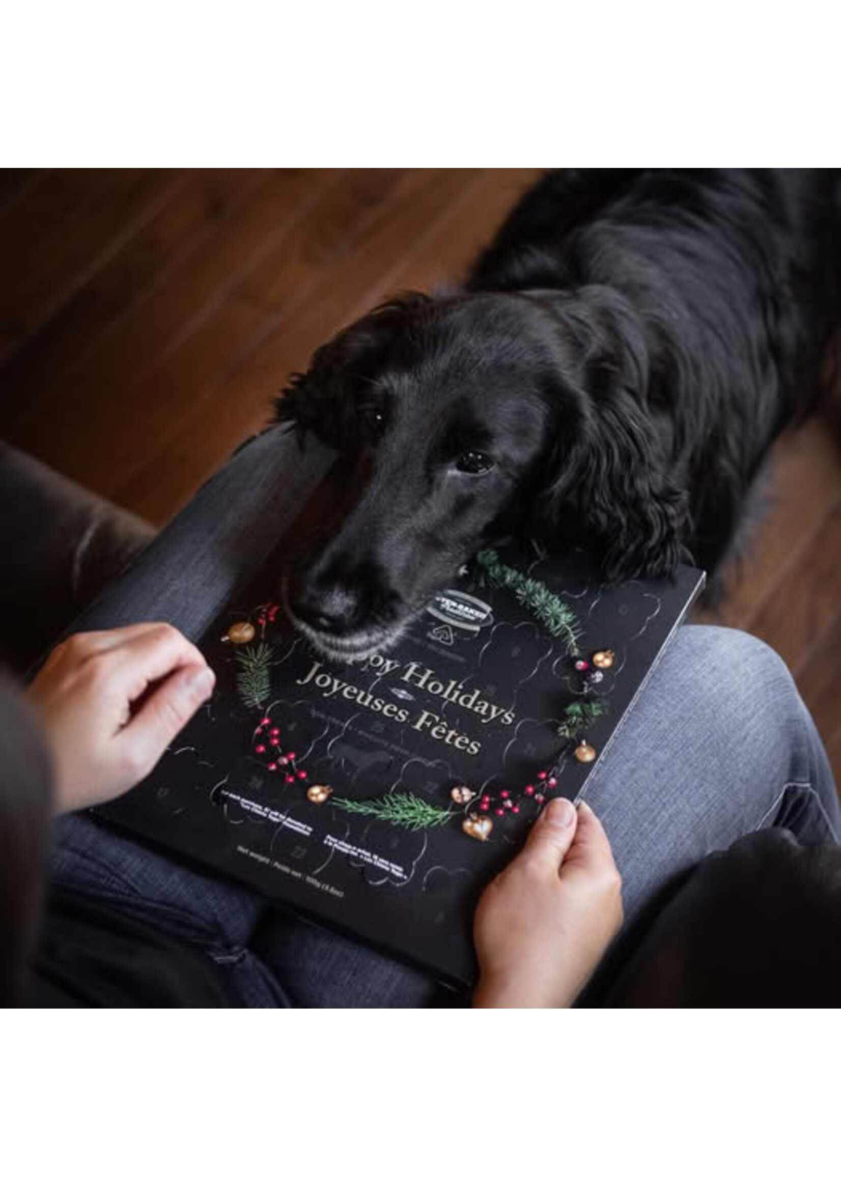 OVEN-BAKED OVEN BAKED CALENDRIER DE L'AVENT POUR CHIEN