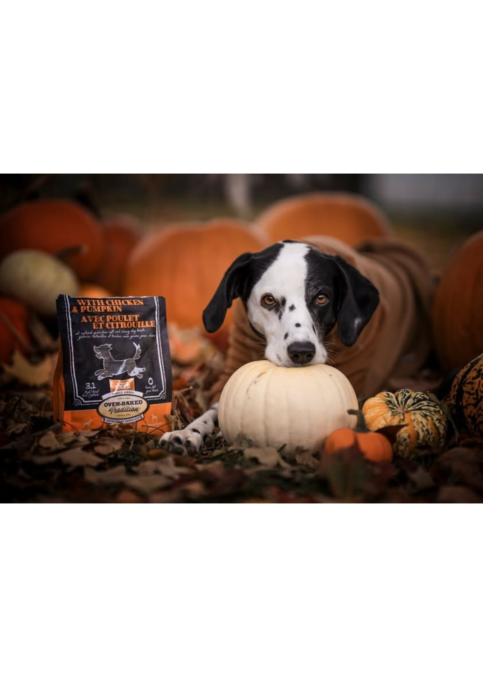 OVEN-BAKED OVEN BAKED  GÂTERIES TENDRES AU POULET ET CITROUILLE 227 G