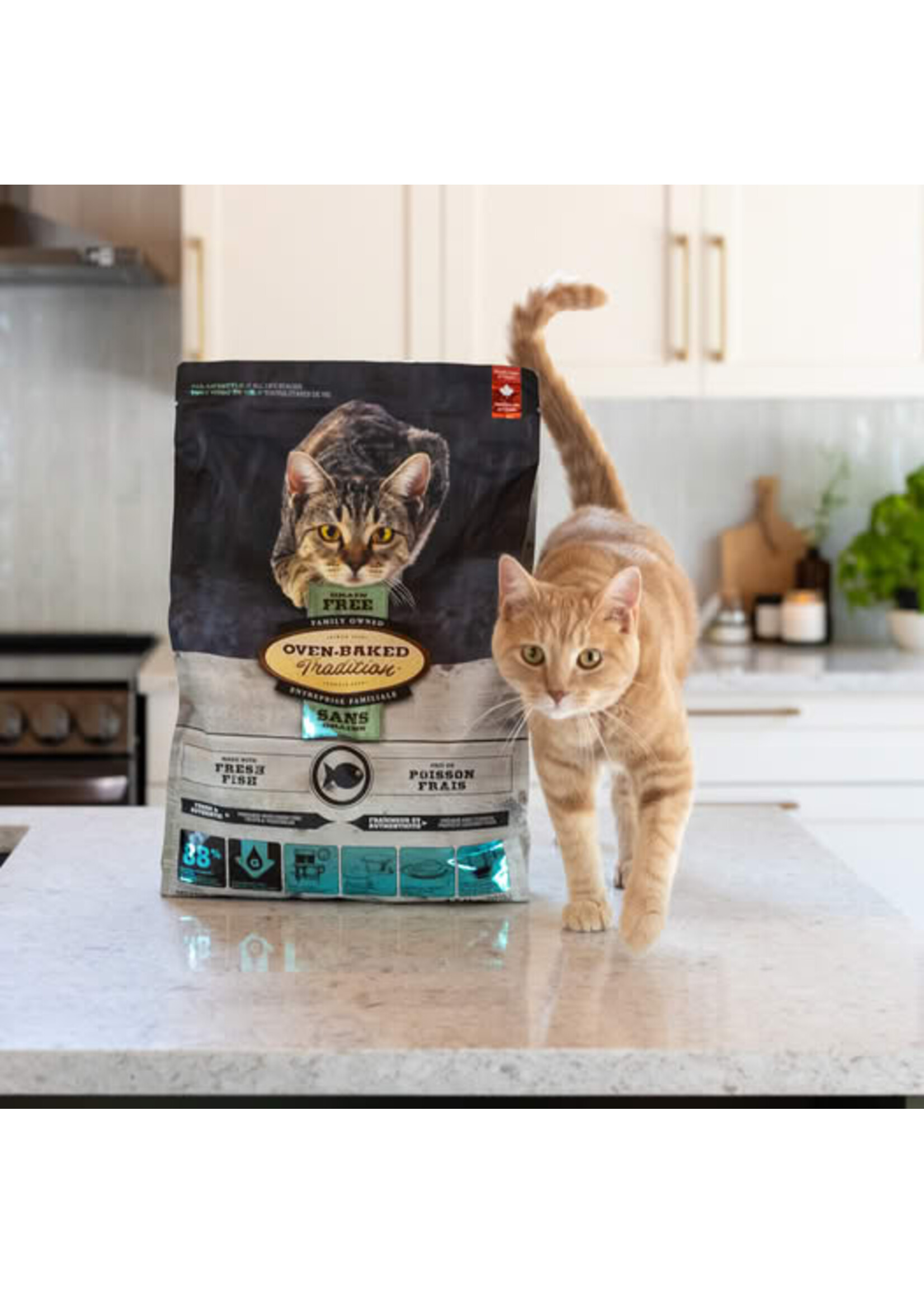 OVEN-BAKED OVEN BAKED CHAT AU POISSON SANS GRAIN