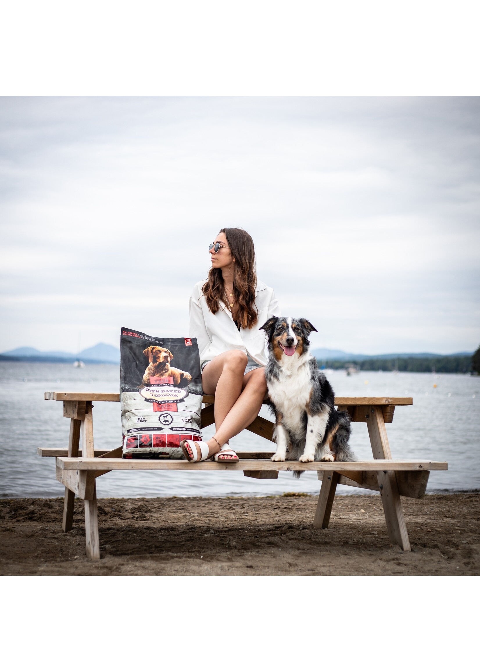 OVEN-BAKED OVEN BAKED CHIEN  VIANDE ROUGE SANS GRAINS