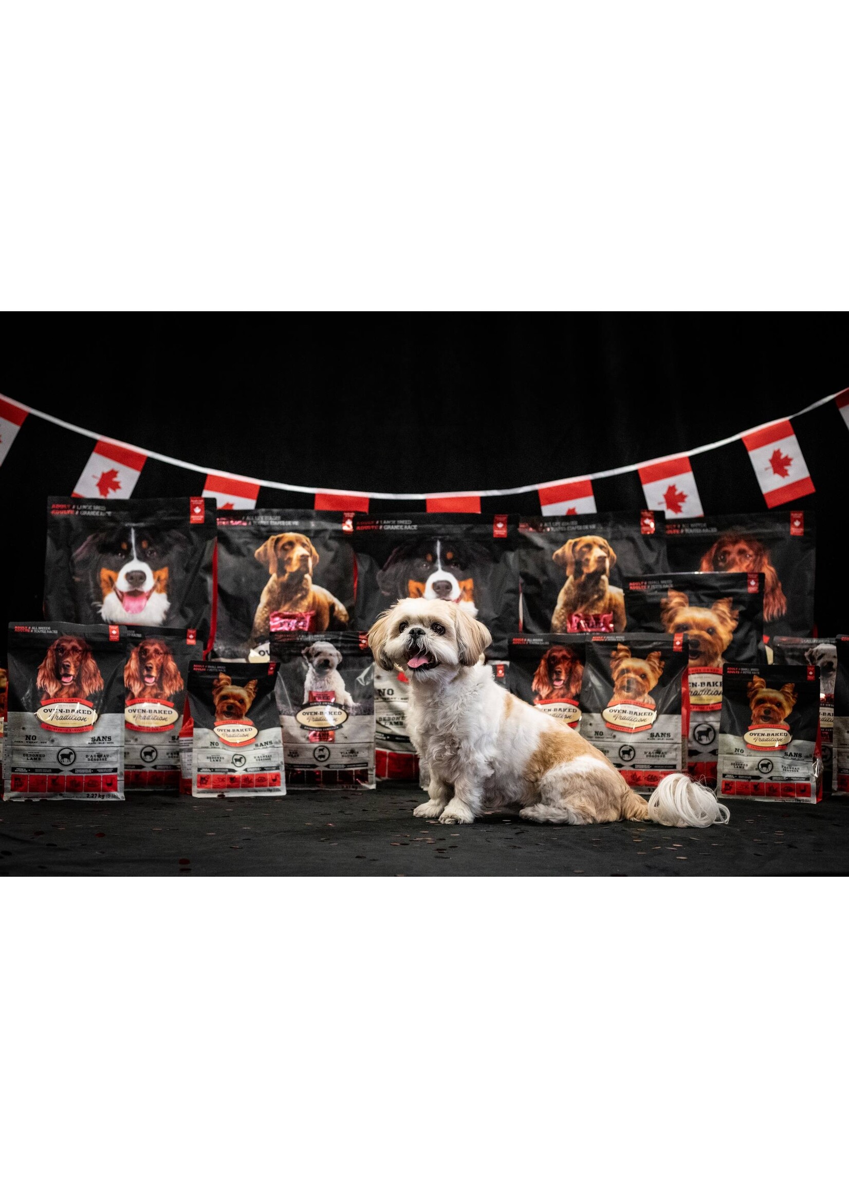 OVEN-BAKED OVEN BAKED CHIEN ADULTE AGNEAU