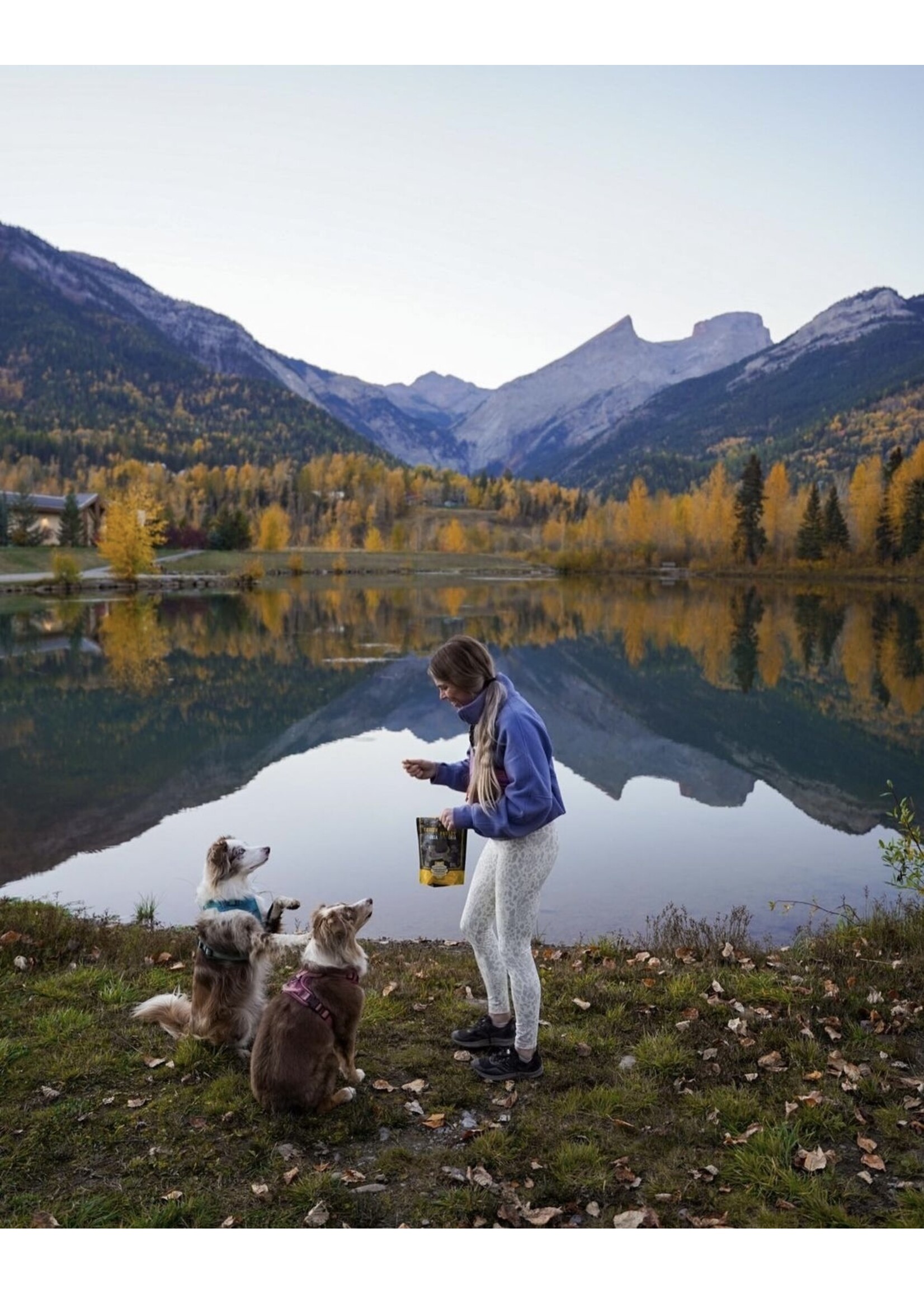 OVEN-BAKED OVEN BAKED CHIEN SENIOR - LEGER  AU POULET