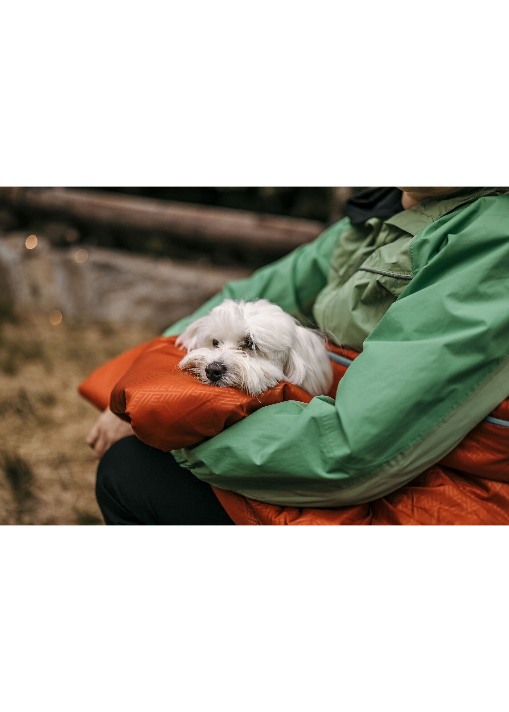 OVEN-BAKED OVEN BAKED CHIEN SENIOR PETITE RACE AU POULET