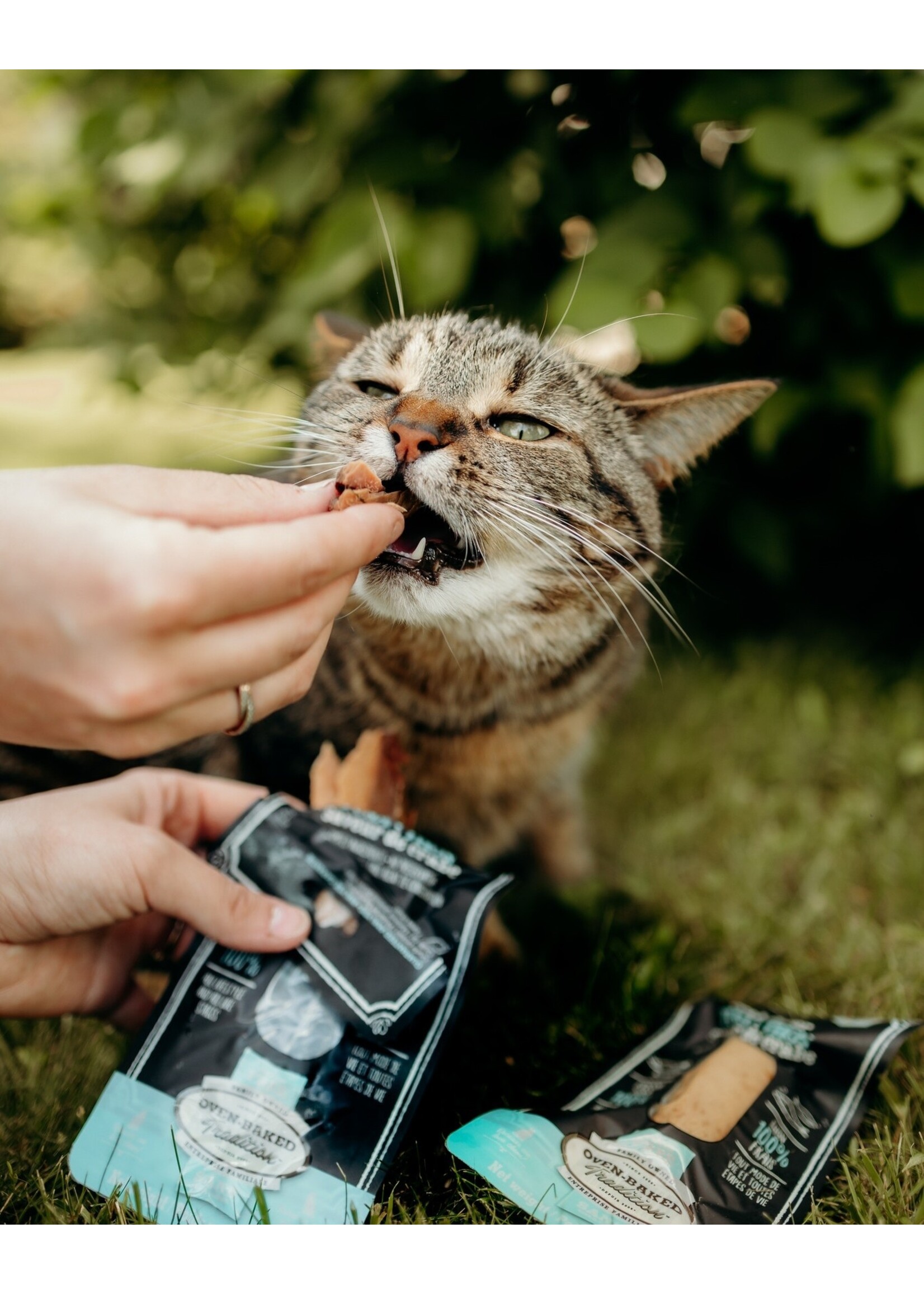 OVEN-BAKED OVEN BAKED GATERIE FILET BONITE ET TAURINE POUR CHAT 20 G