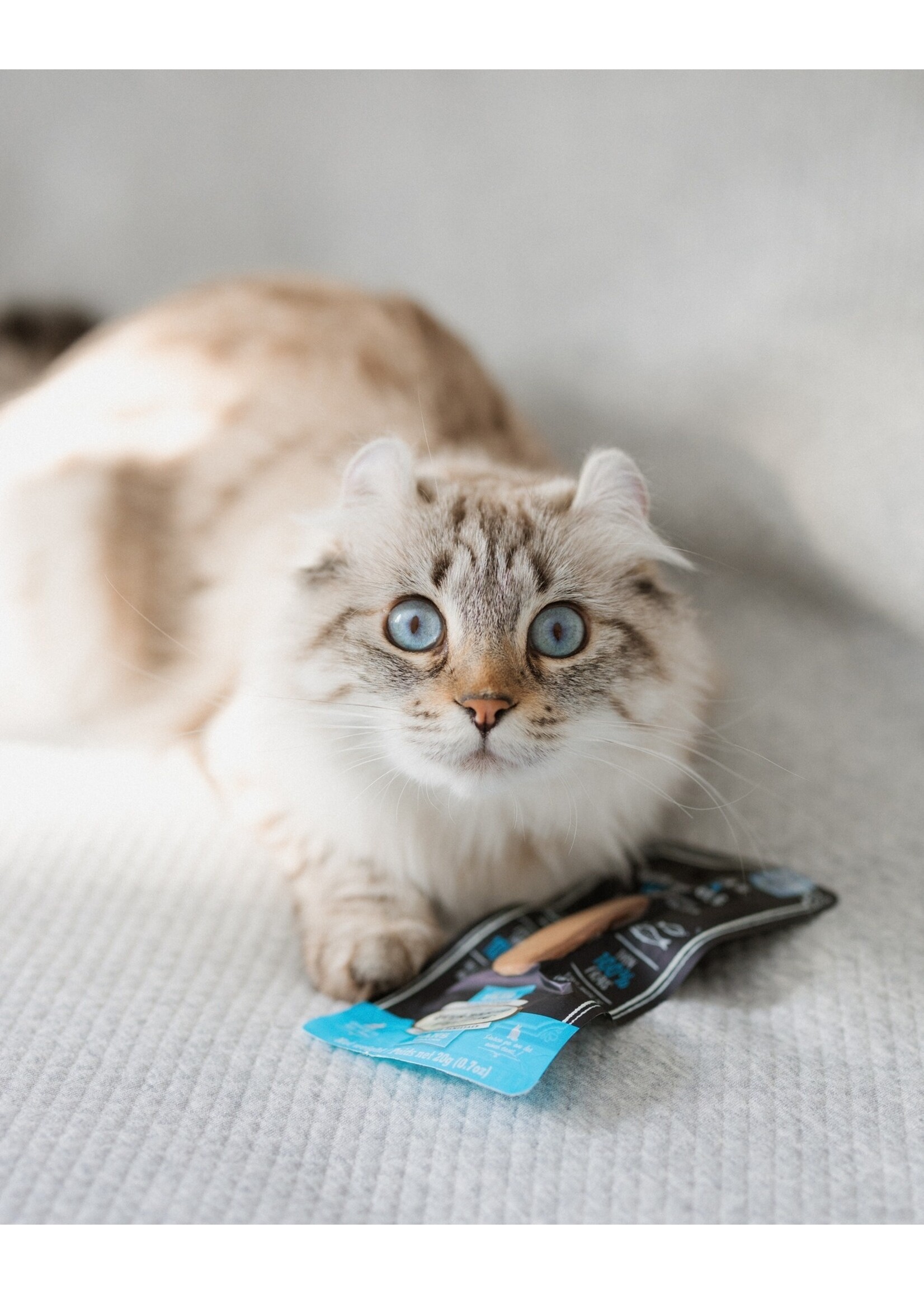 OVEN-BAKED OVEN BAKED GATERIE FILET DE THON ET CRABE POUR CHAT 20 G