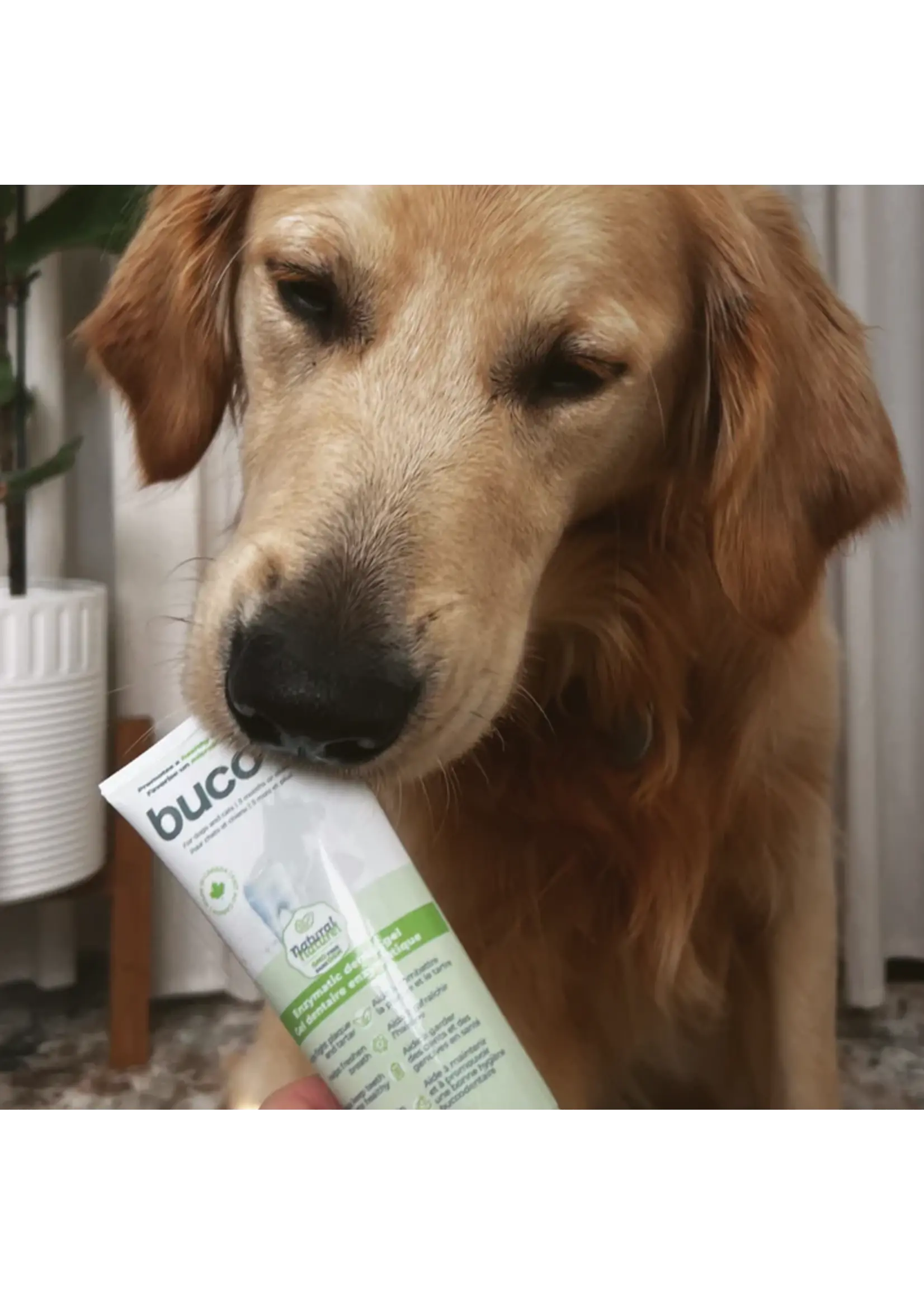 BACI BACI BUCO GEL DENTAIRE 115 G