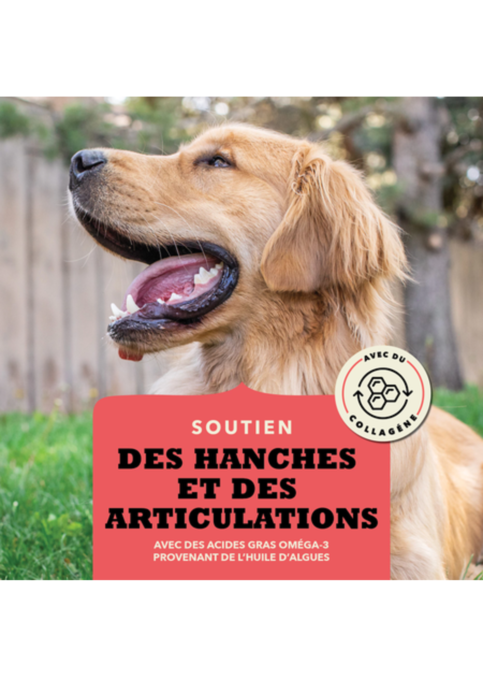 ACANA ACANA BOUCHÉE CROQUANTE  BOEUF ET ARTICULATIONS 113 G