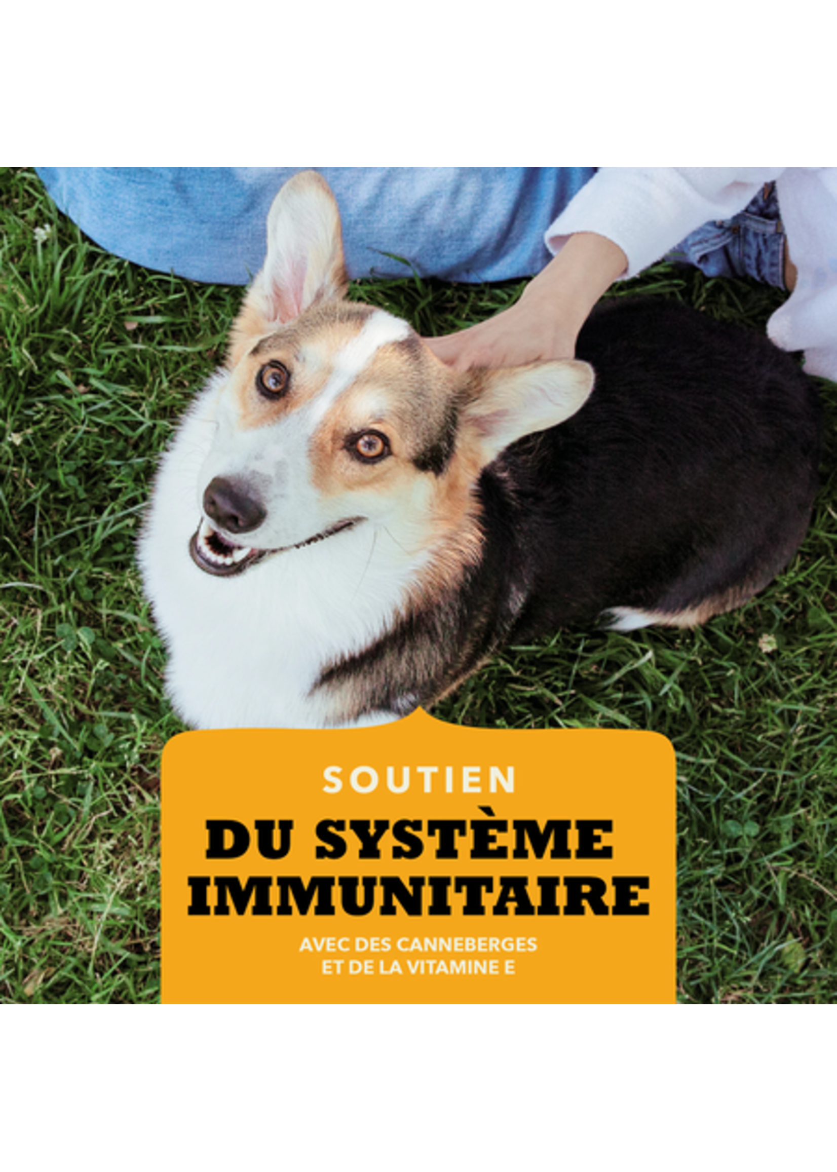 ACANA ACANA BOUCHÉE CROQUANTE  POULET ET SYSTÈME IMMUNITAIRE 113 G