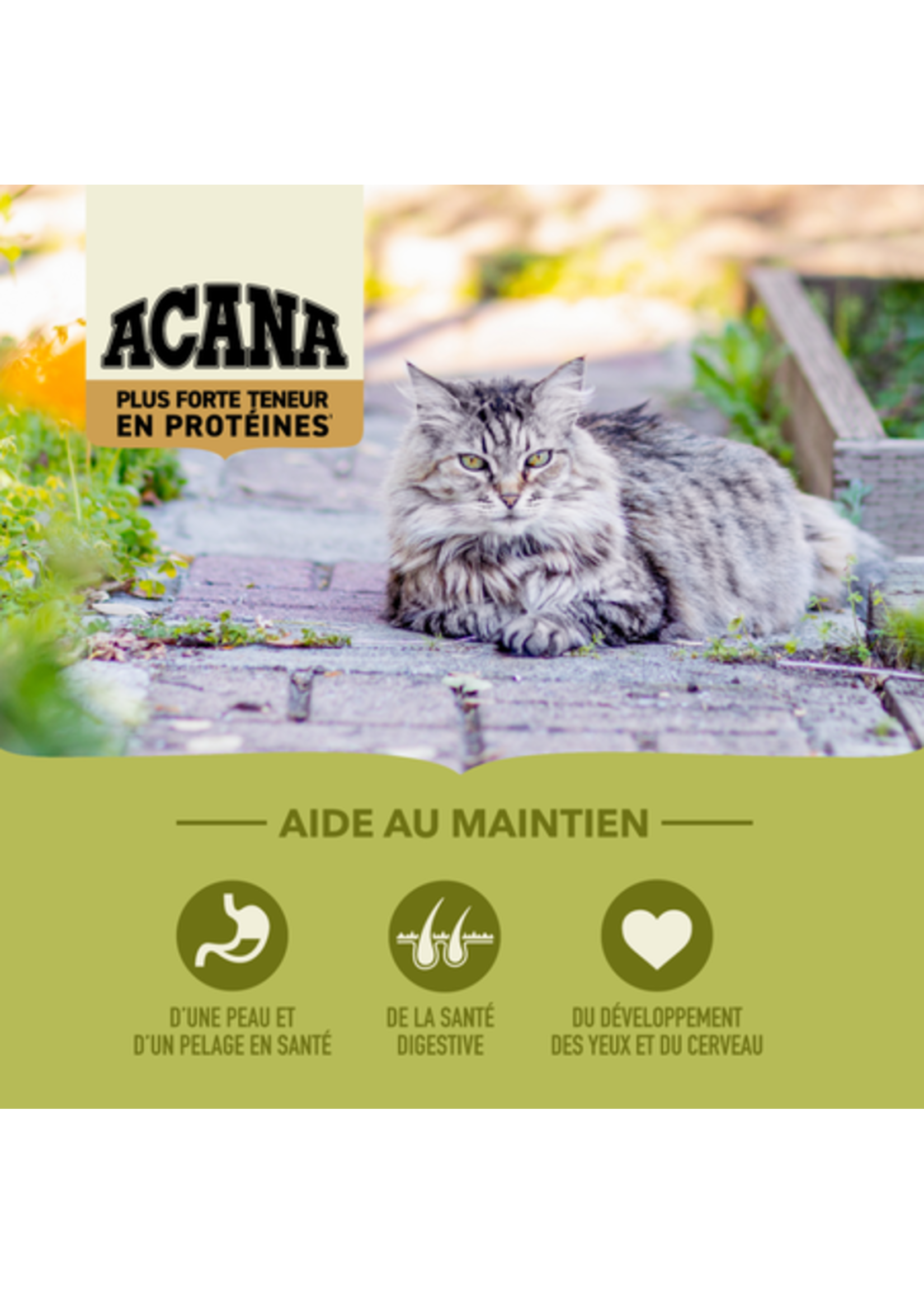 ACANA ACANA CHAT GRASSLAND