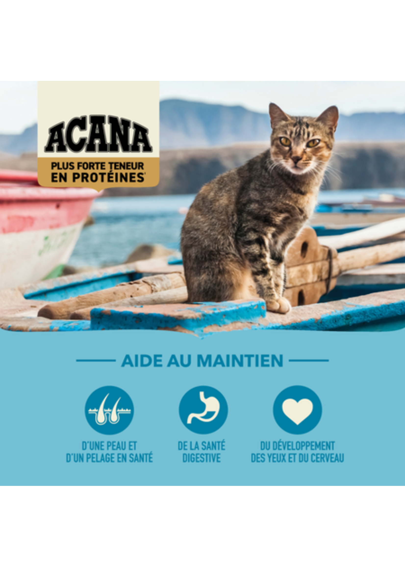 ACANA ACANA CHAT PACIFICA