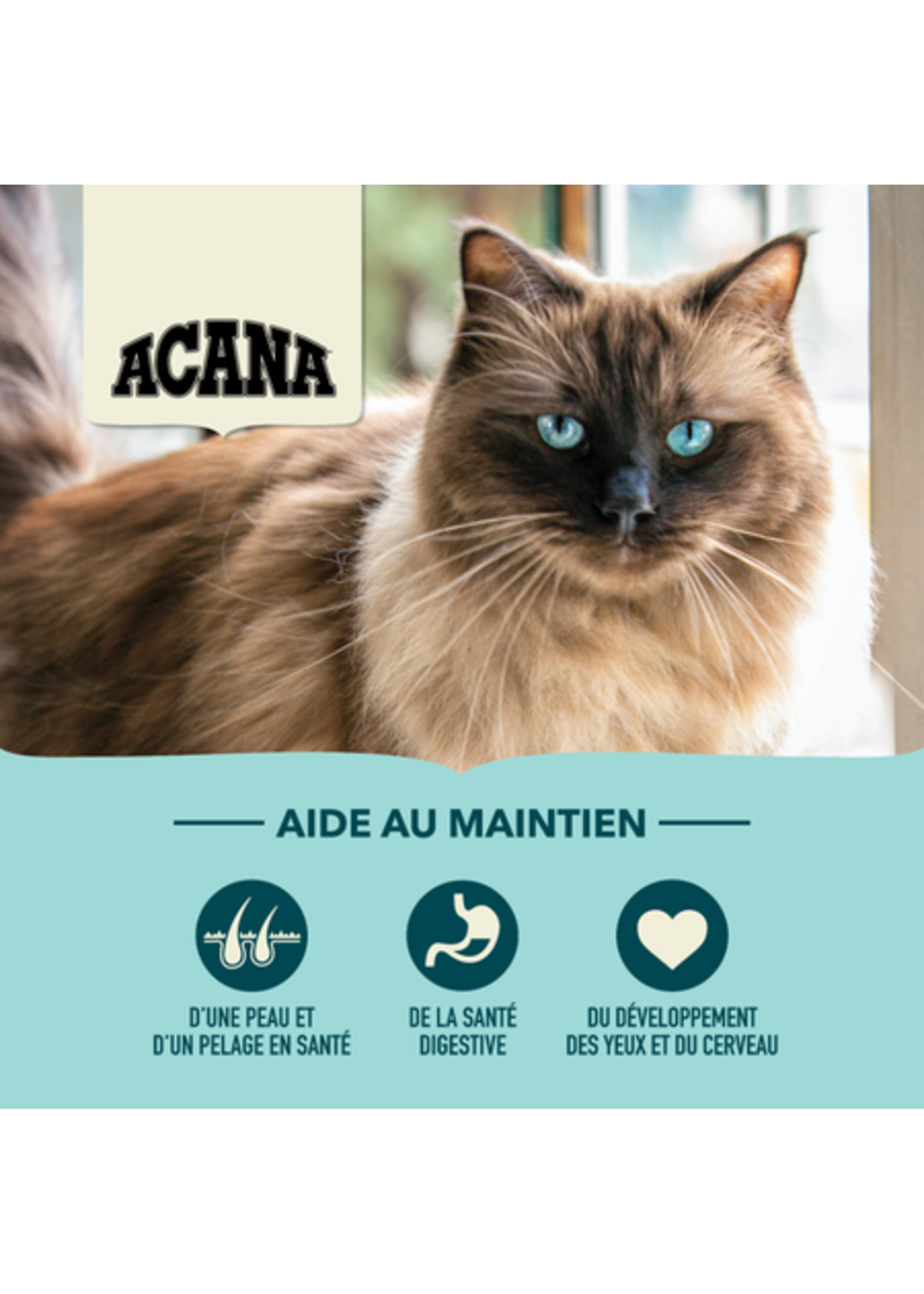ACANA ACANA CHAT PRISES ABONDANTES